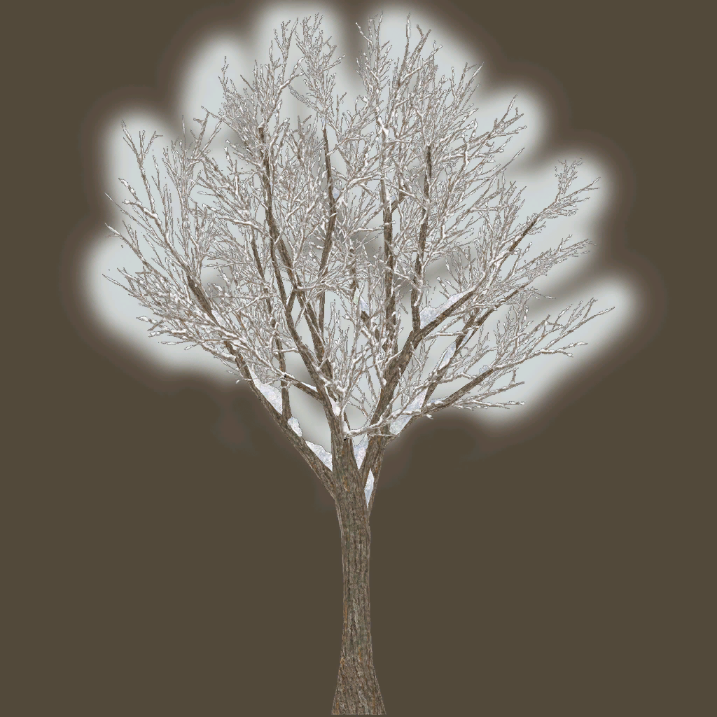 s30g001g_tree02_a.1