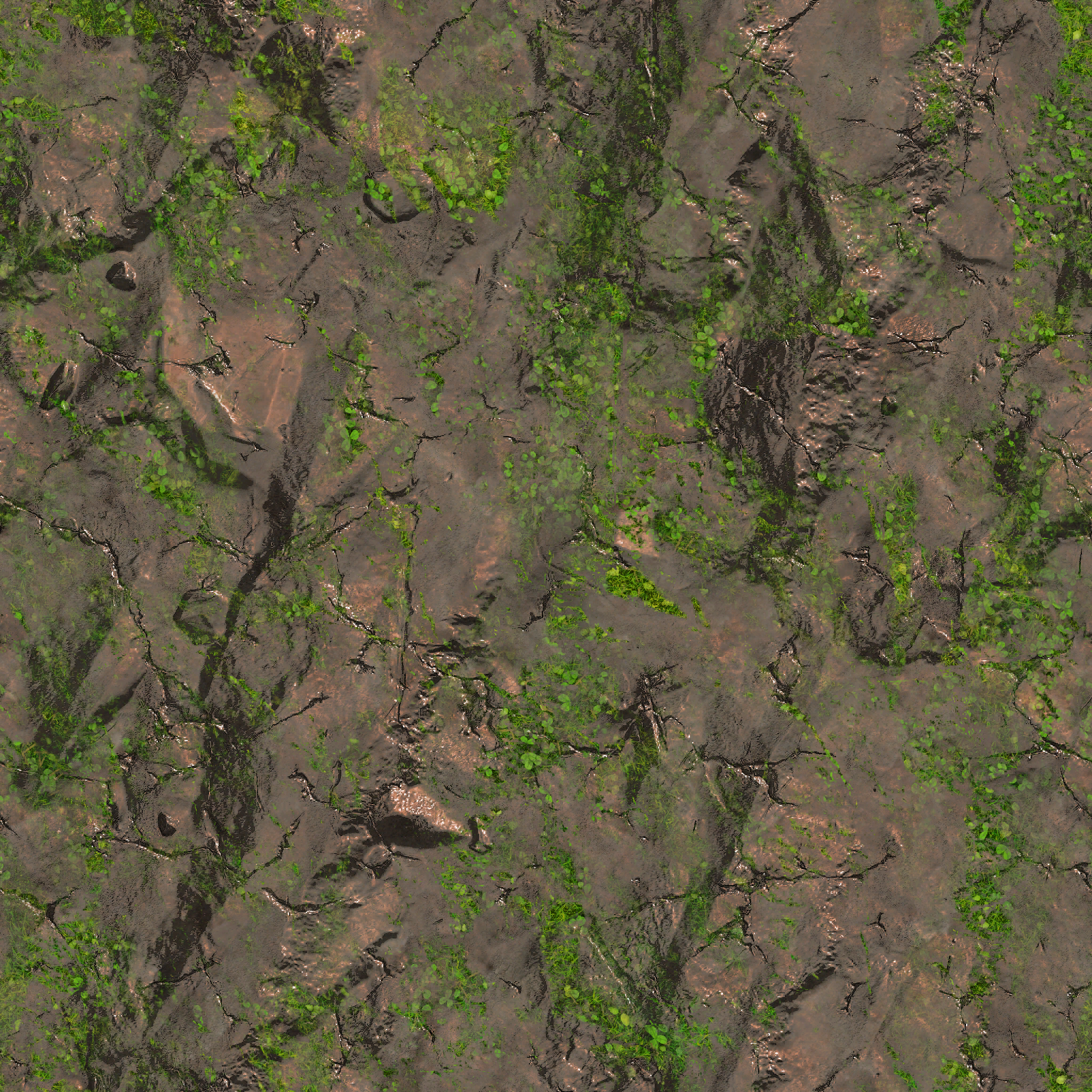 s31g001g_cliff01_re.1