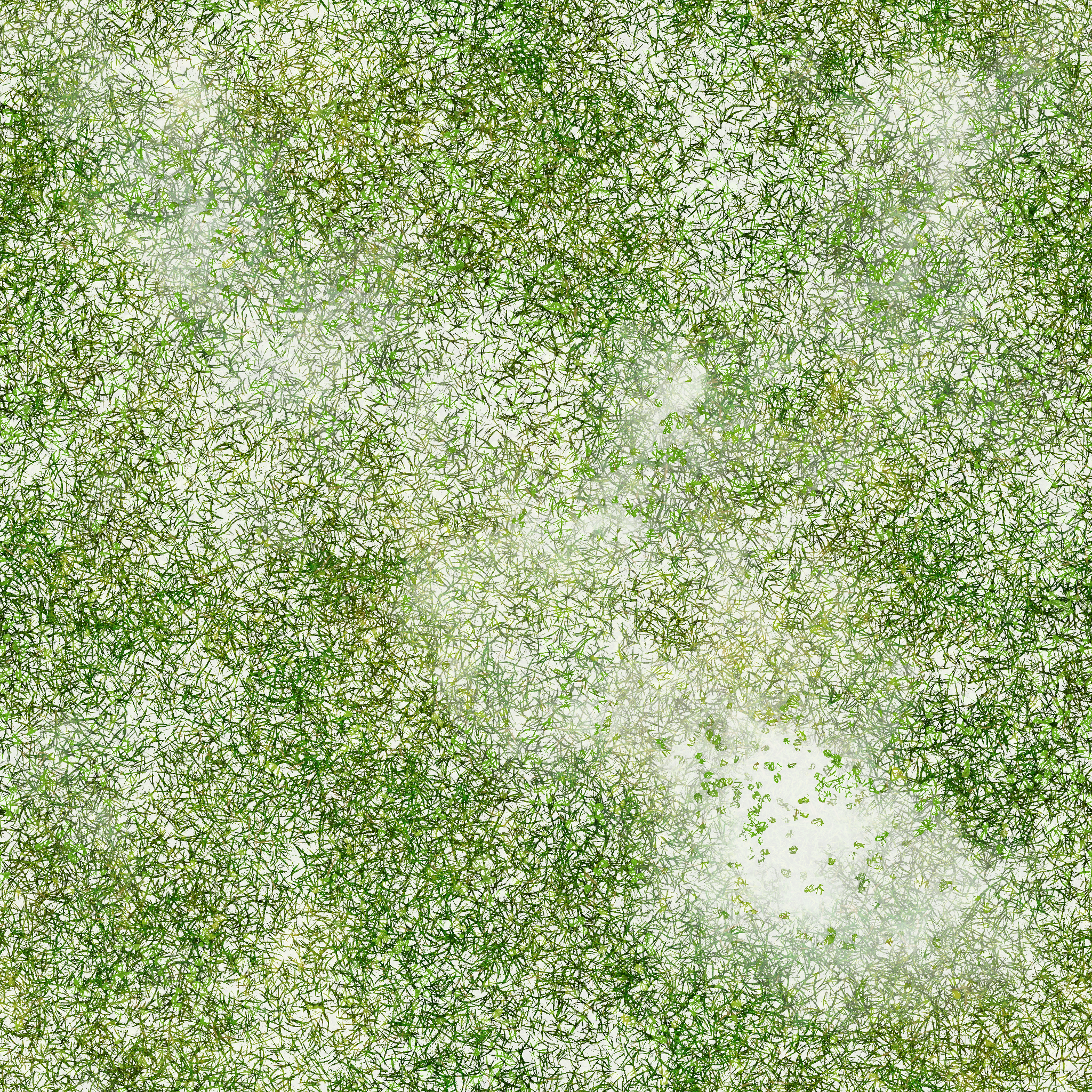 s31g001g_grass01_re.1