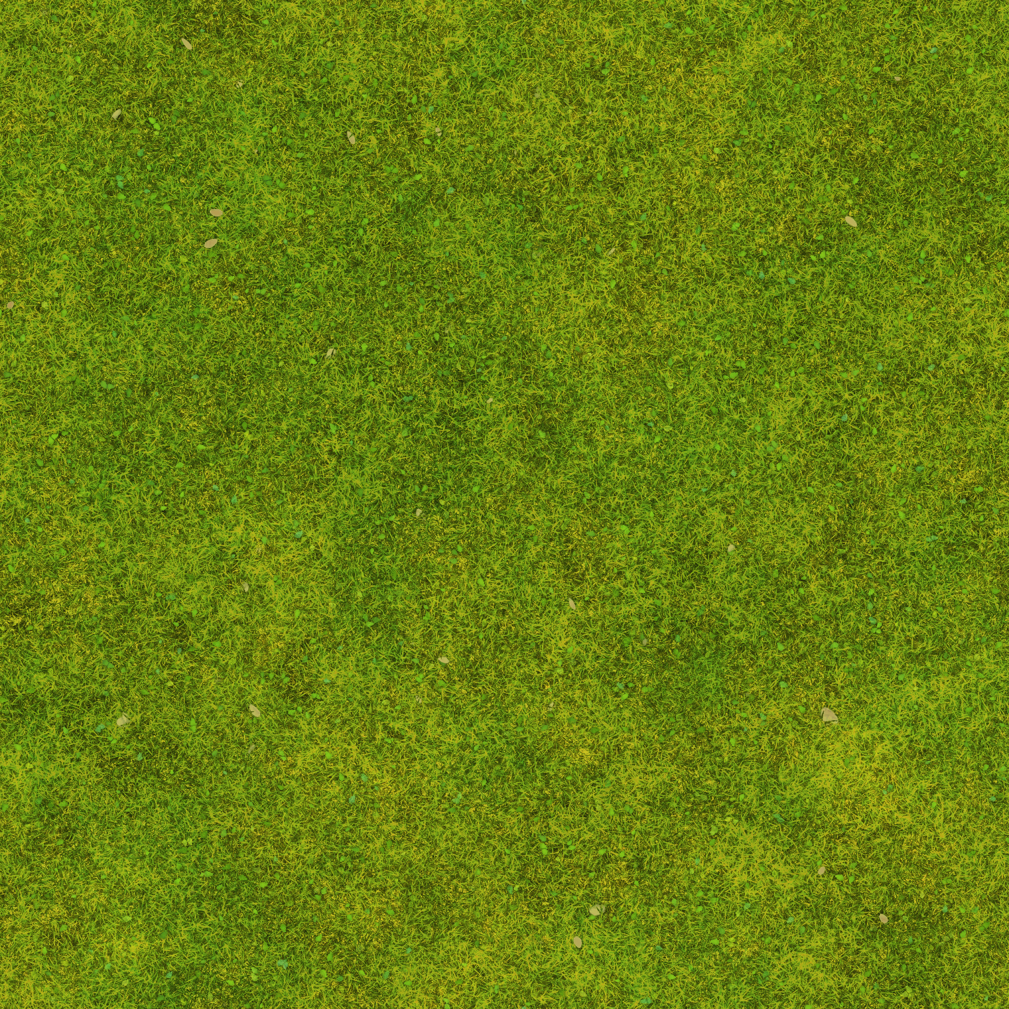 s31g001g_grass02_re.1