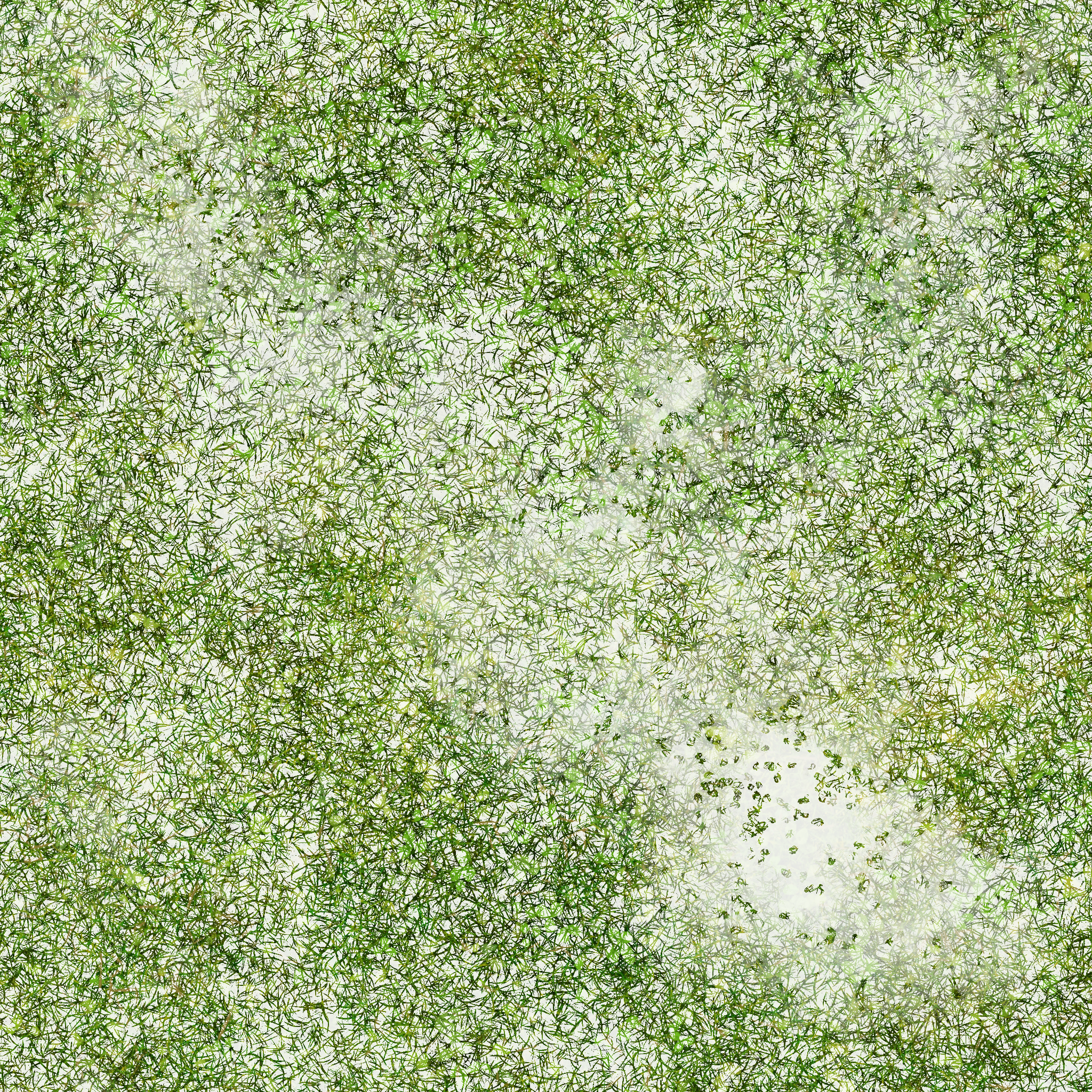 s31g001g_grass03_re.1