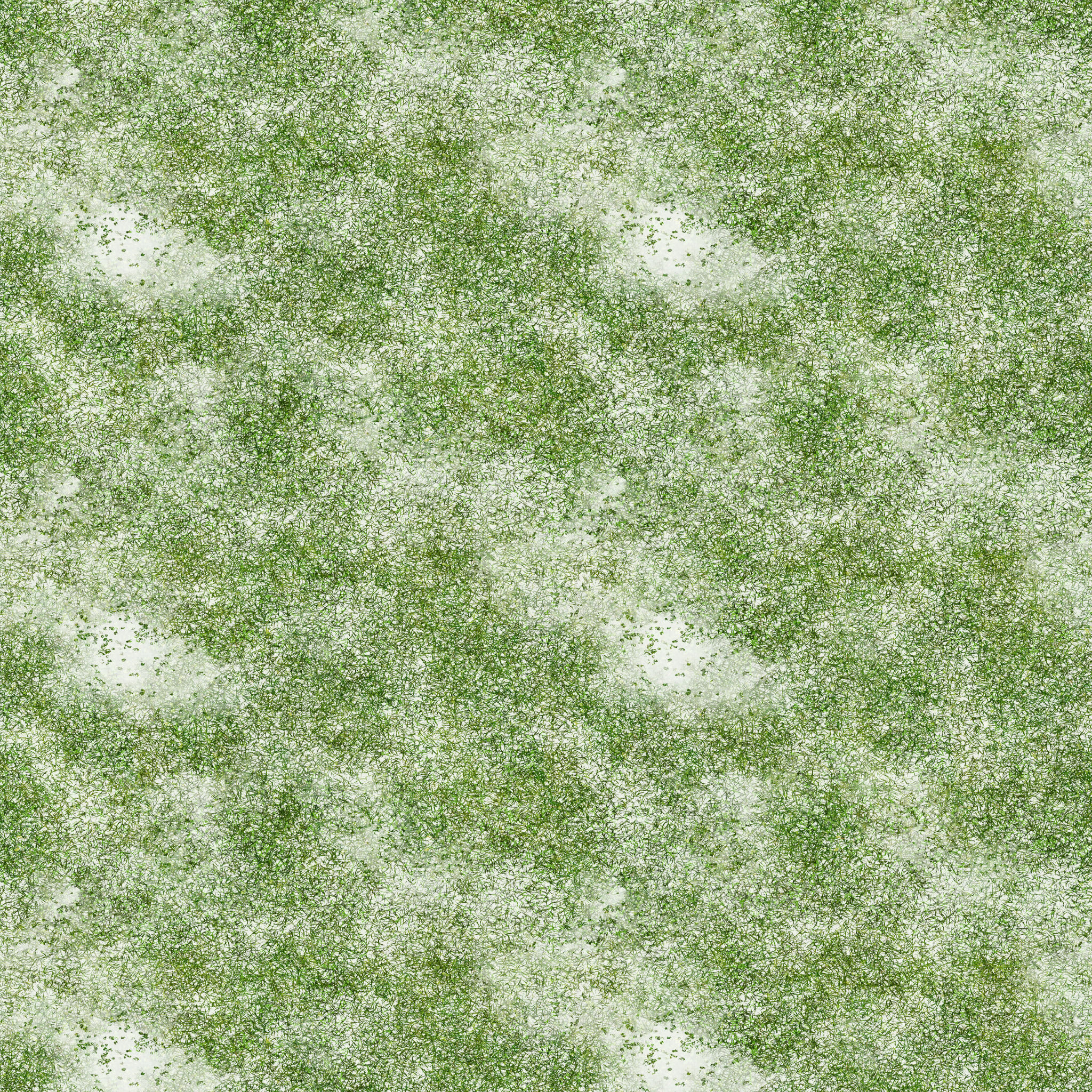 s31g001g_grass04_re.1