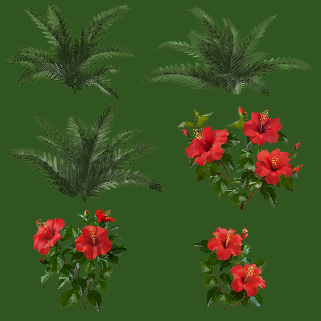 s31g001g_plant02_a.1