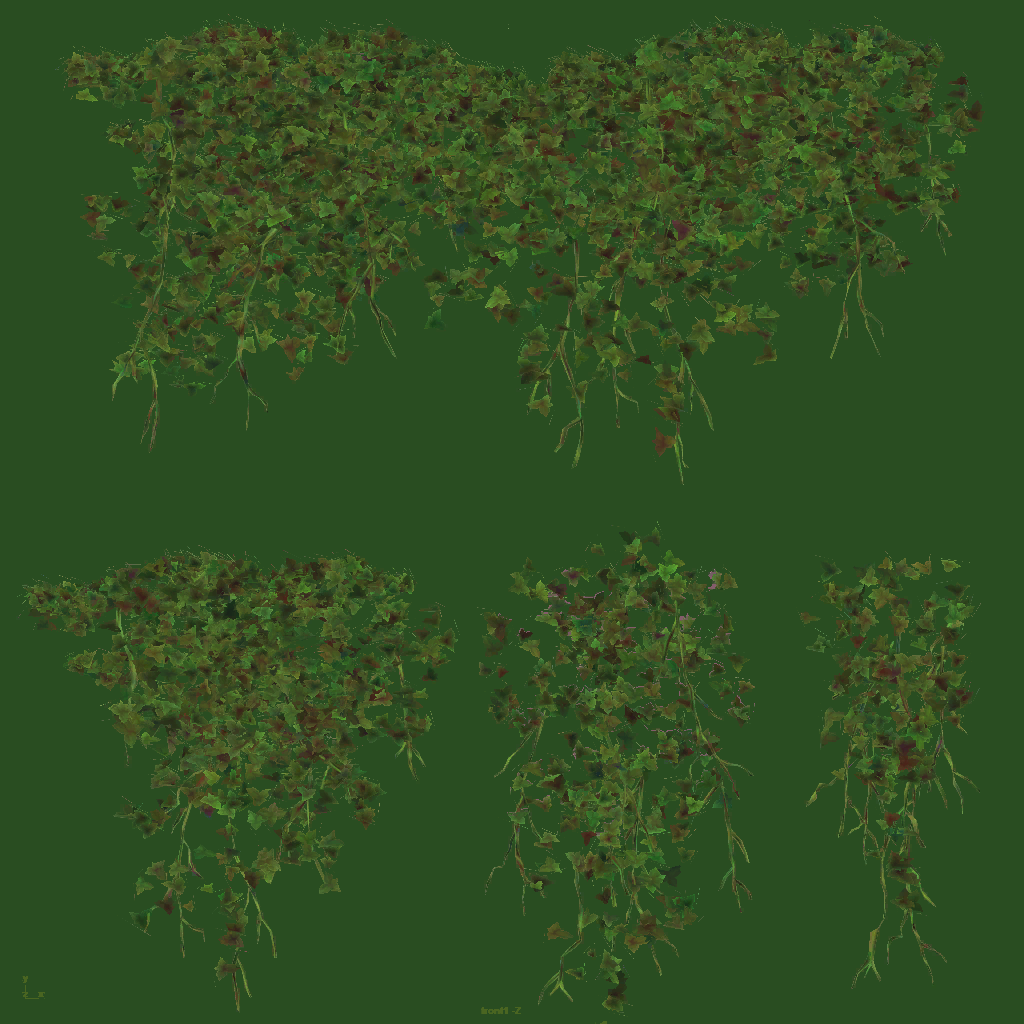 s31g001g_plant03_a.1