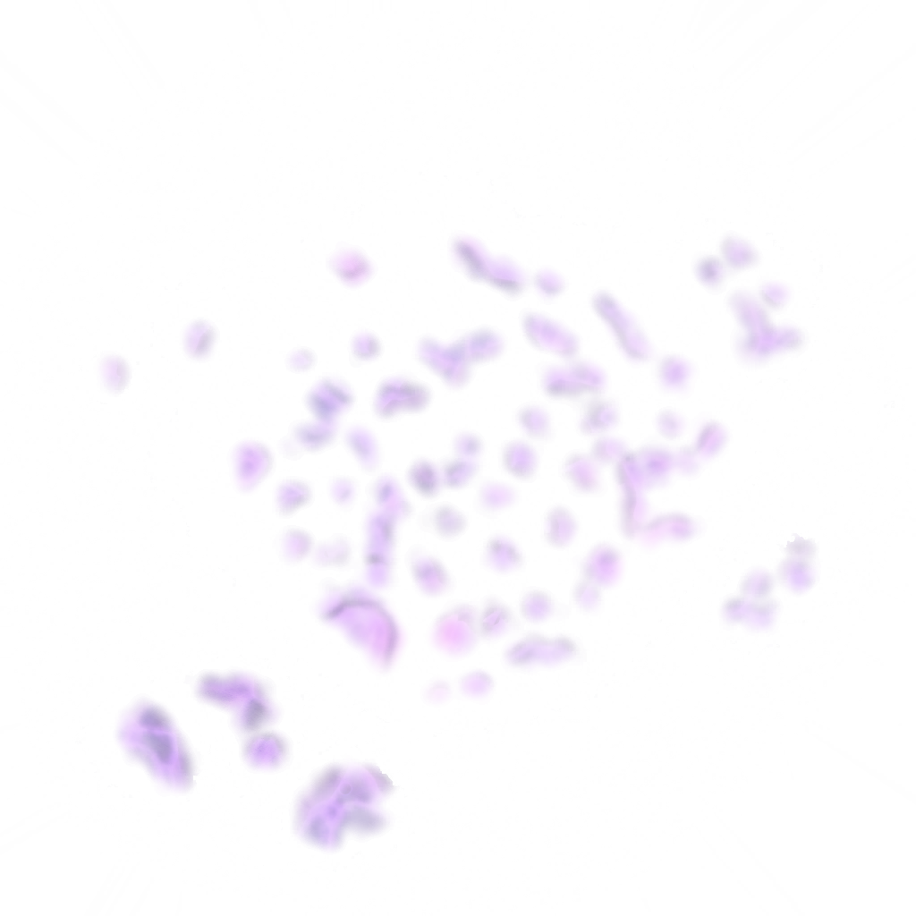 s32g001_crystal_purple.1