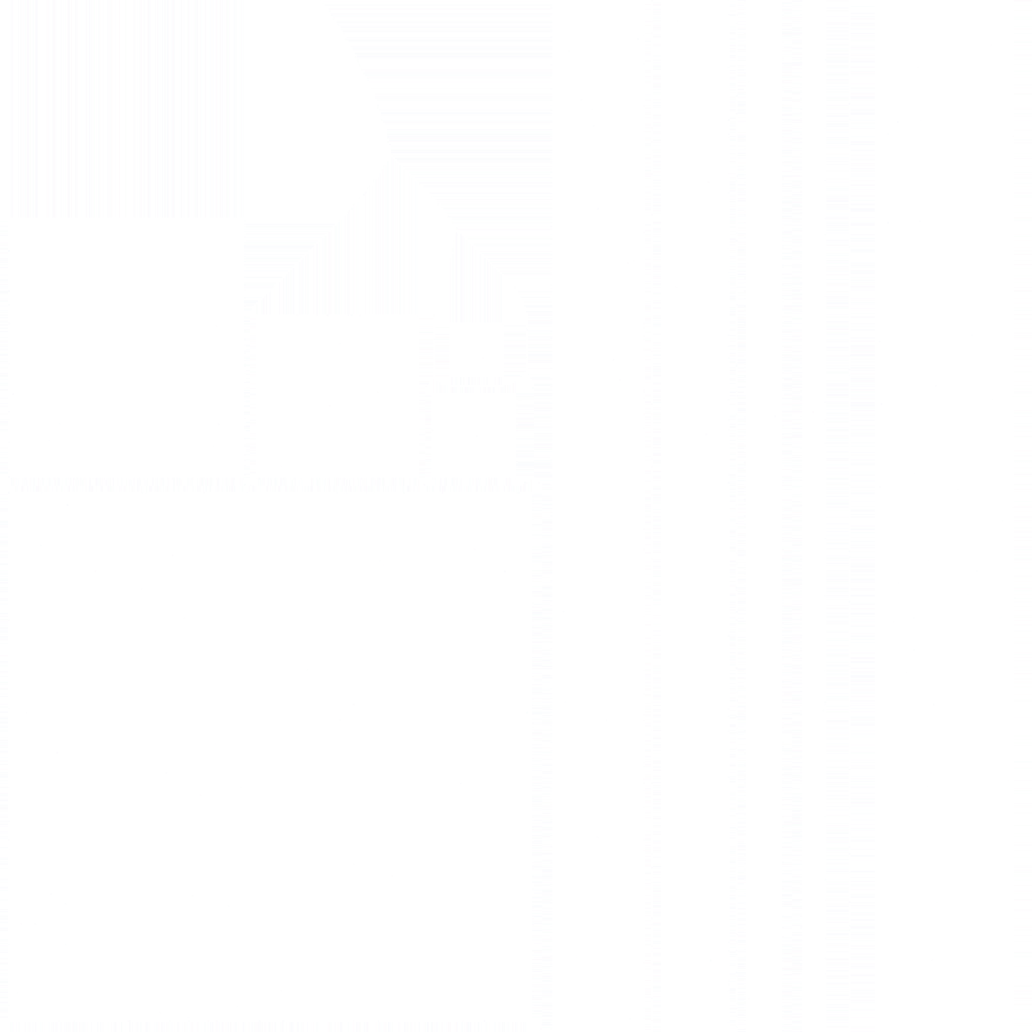 s33g001g_flag02_re.2