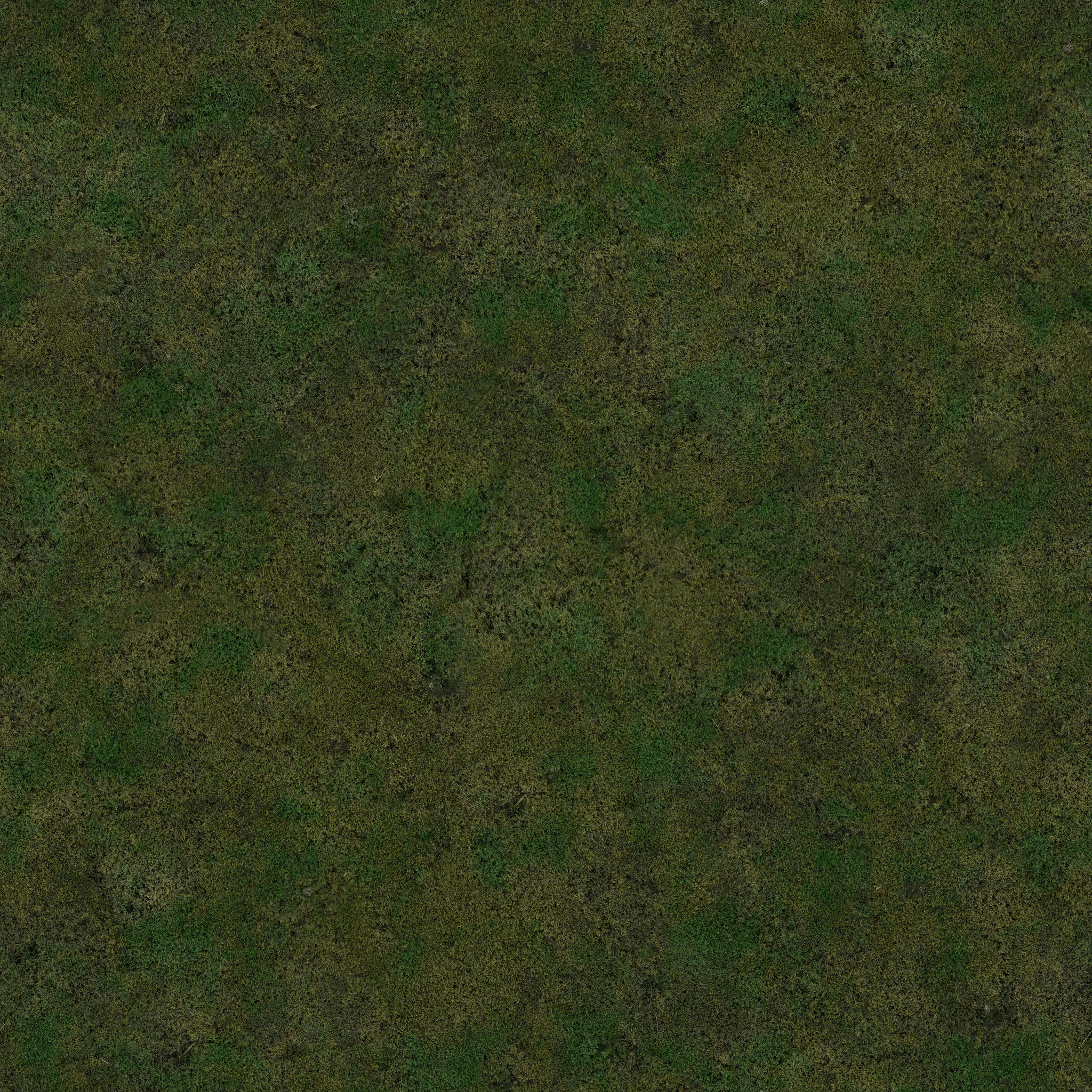 s36g001g_moss_re.1