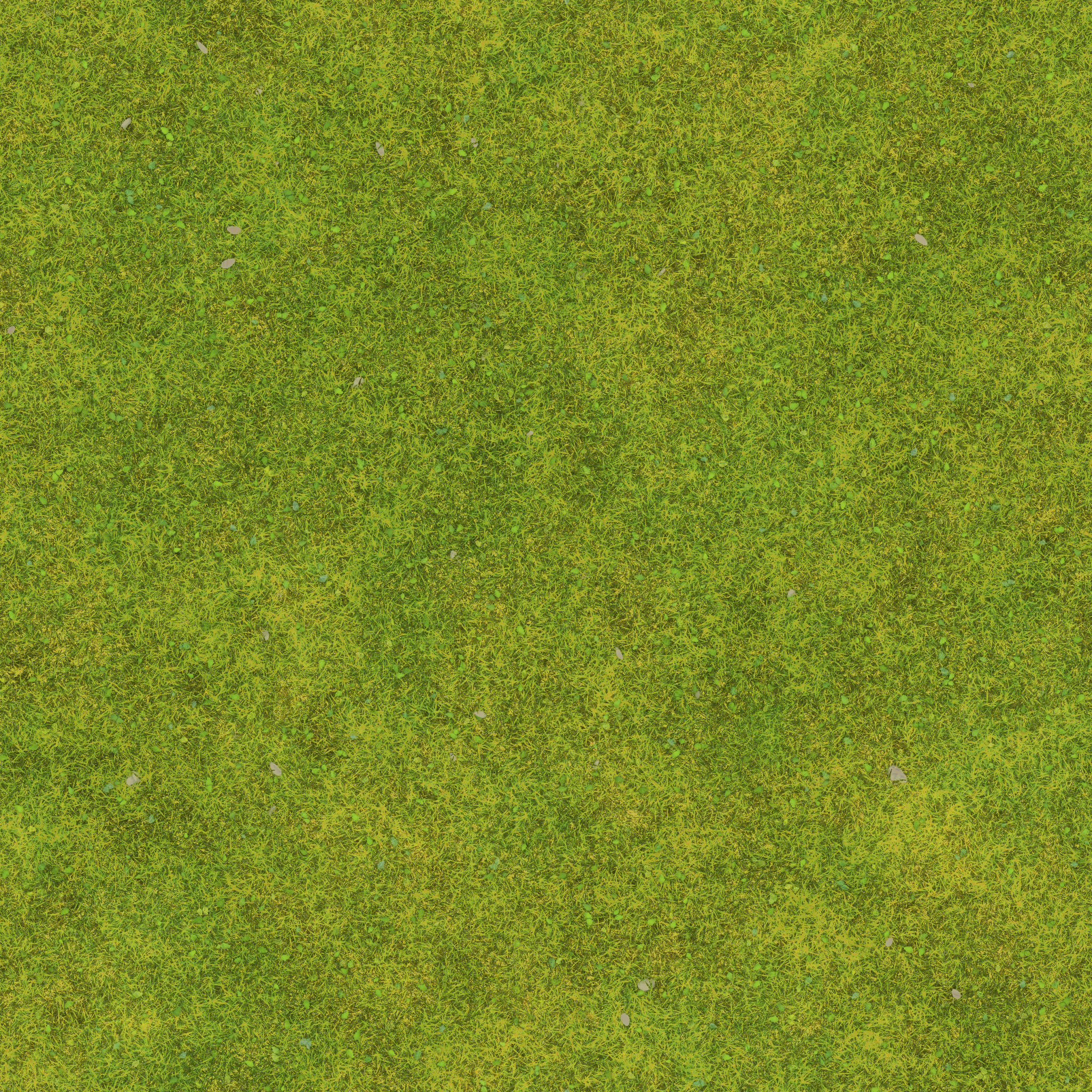 s38g001g_grass03_re.1