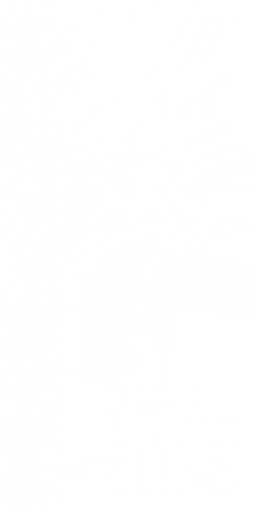 s39g001g_ar01_re.2