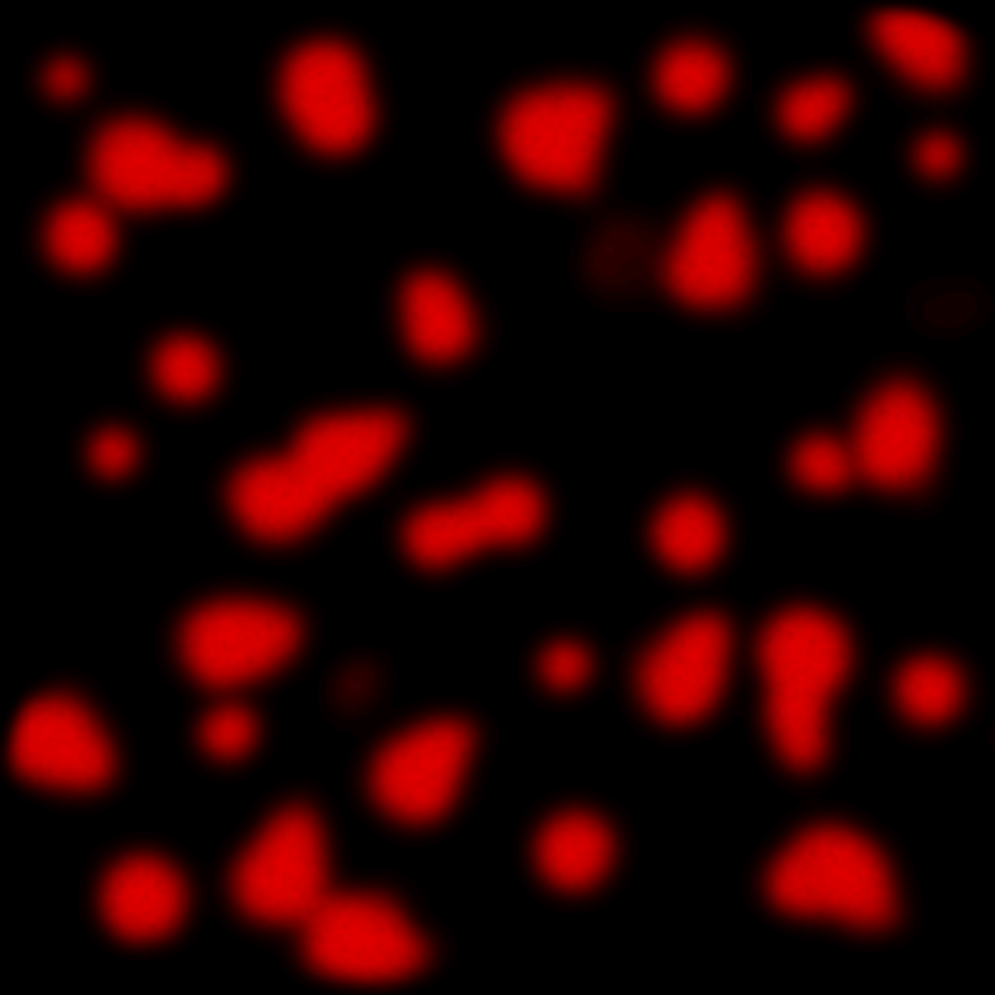 s39g001g_footprints01_re.a