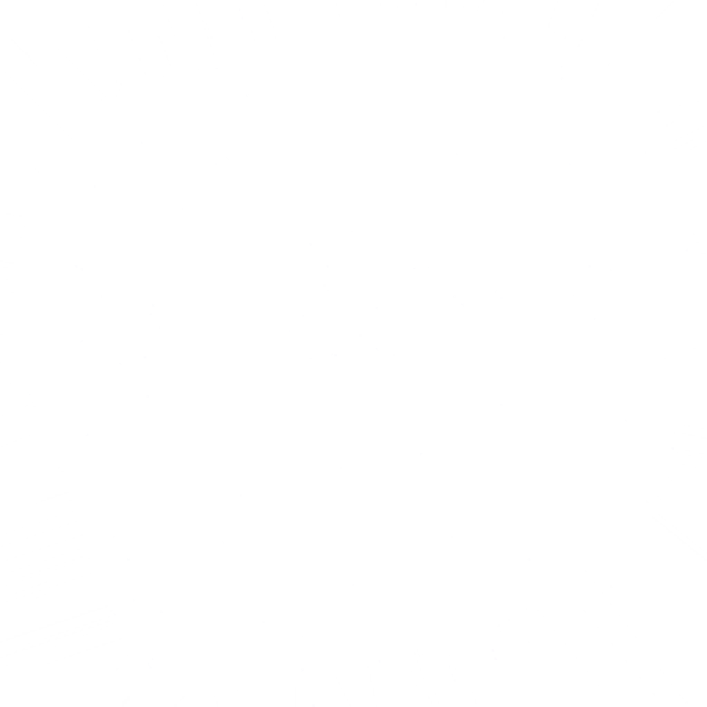 s39g001g_rock01.2