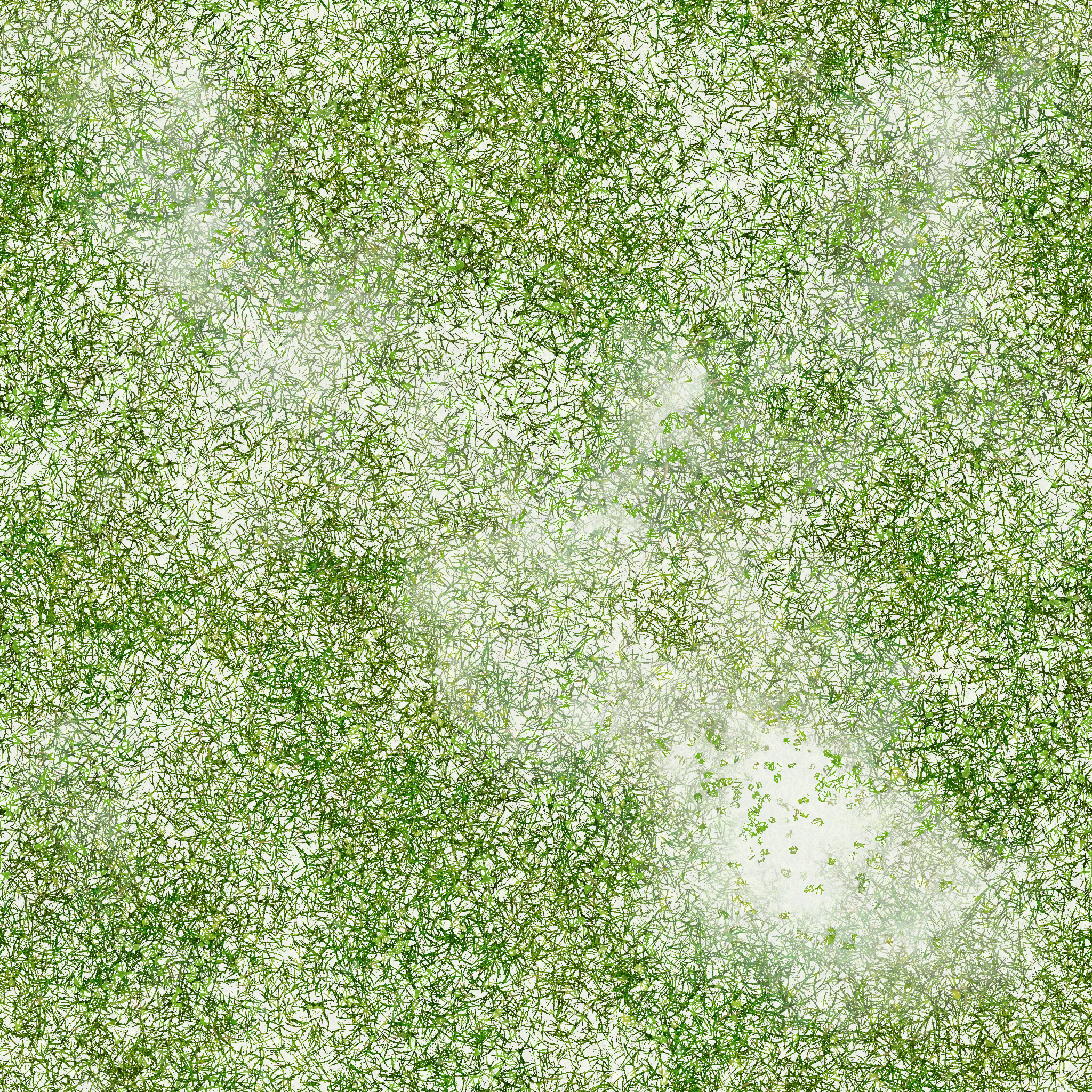 s40g001g_grass01_re.1