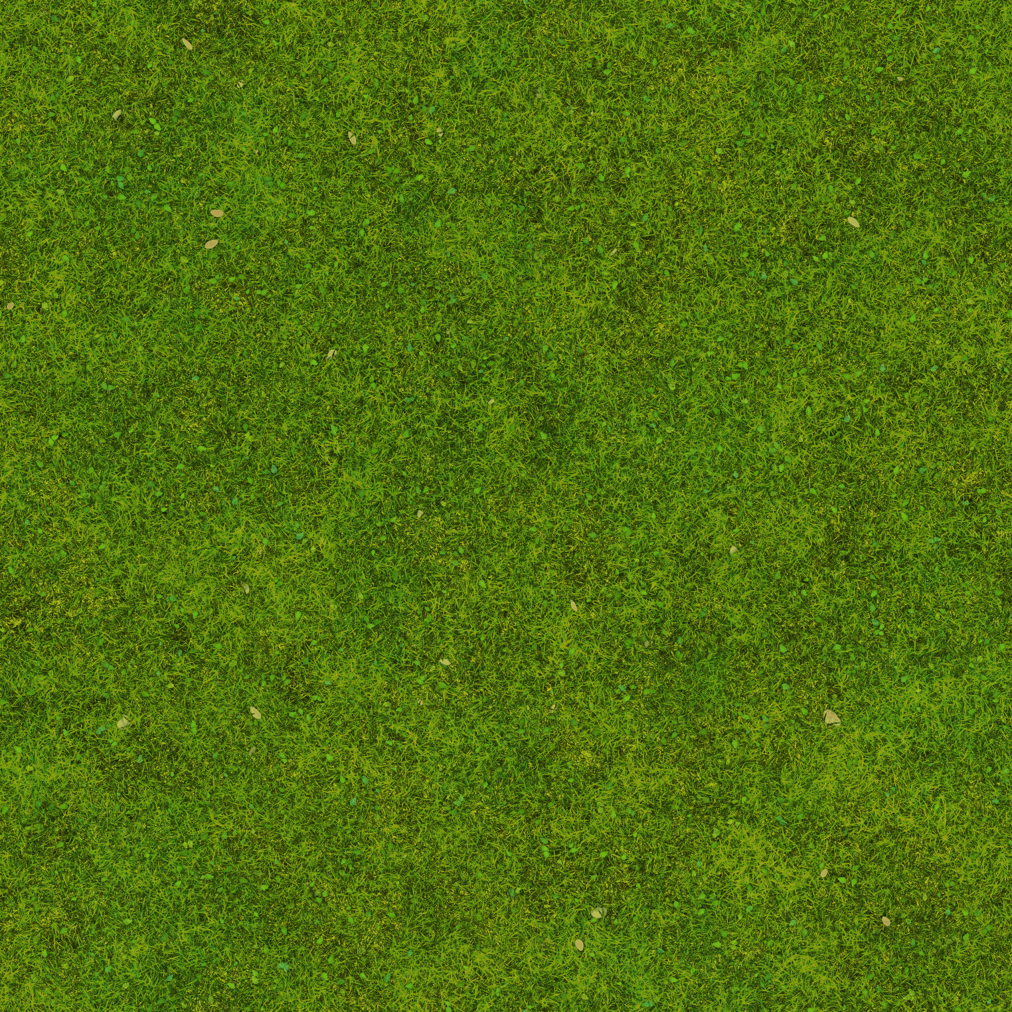 s40g001g_grass02_re.1