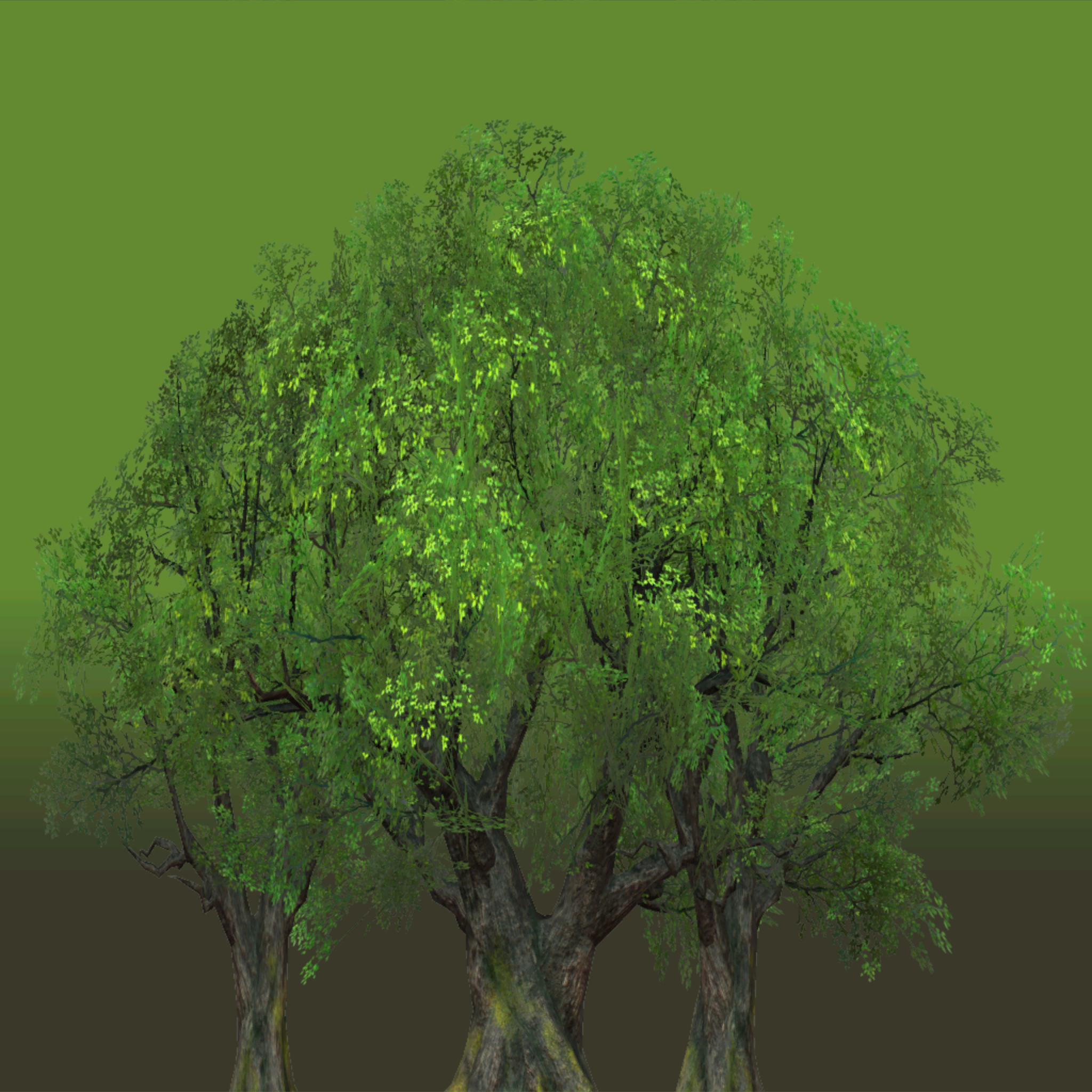 s40g001g_tree03_a.1
