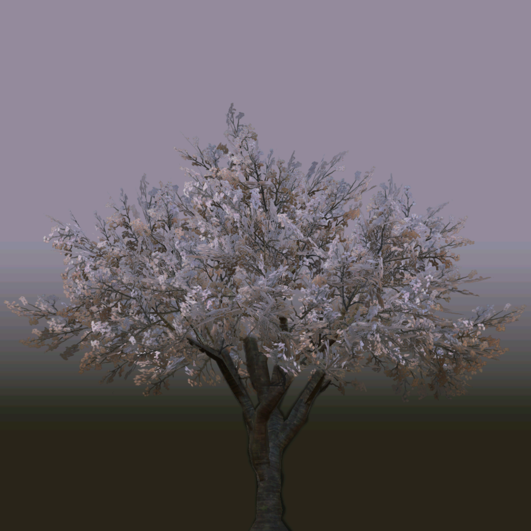 s40g001g_tree04_a.1