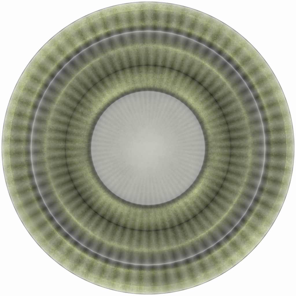 s41g001g_eye01.1
