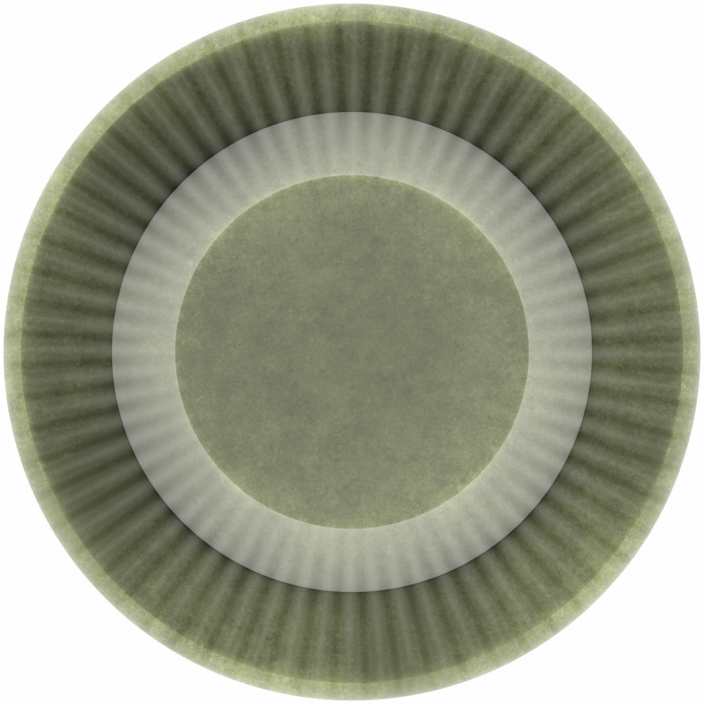 s41g001g_eye02.1