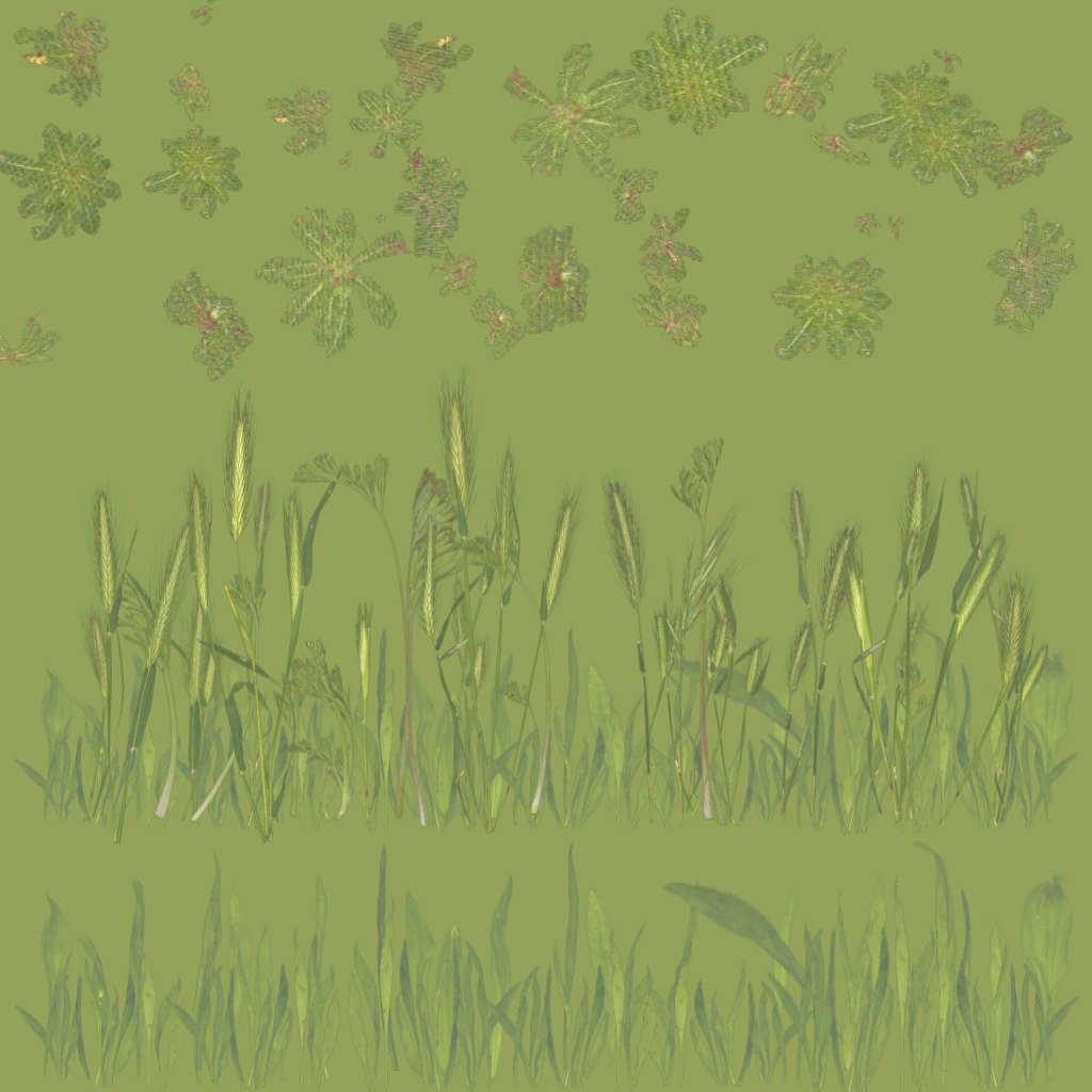 s43g001g_add_grass.1
