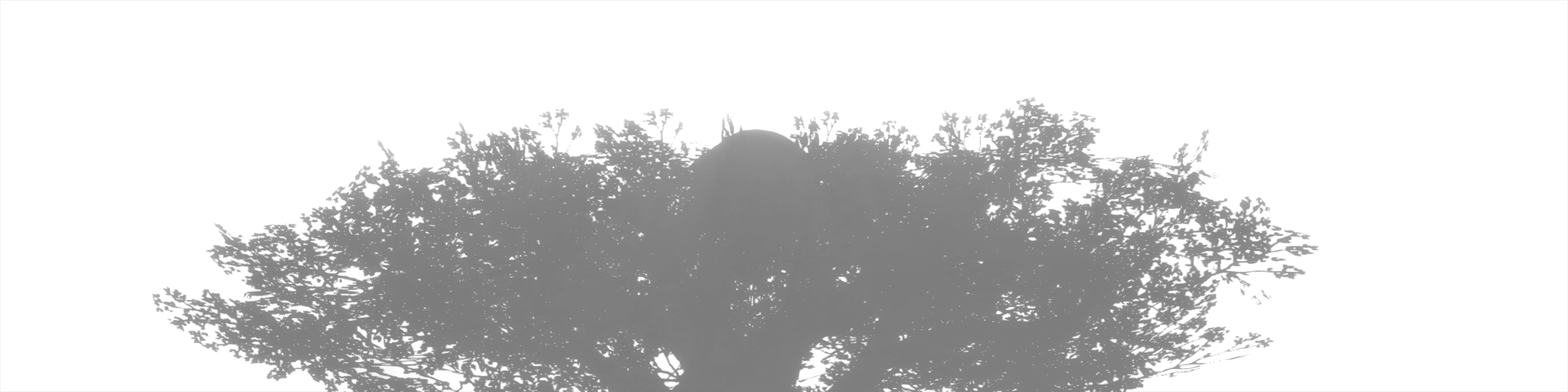 shadow02_a.1
