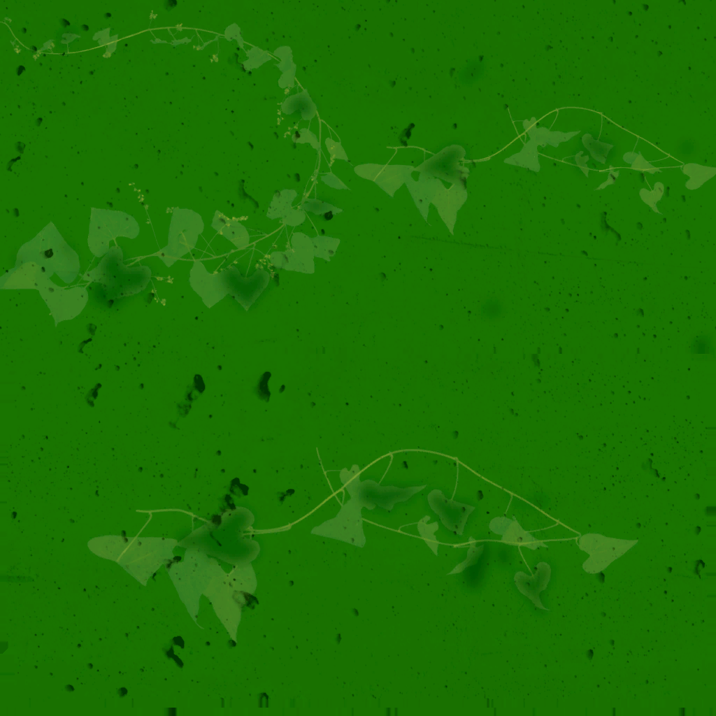 s43h001_vine01_a.1