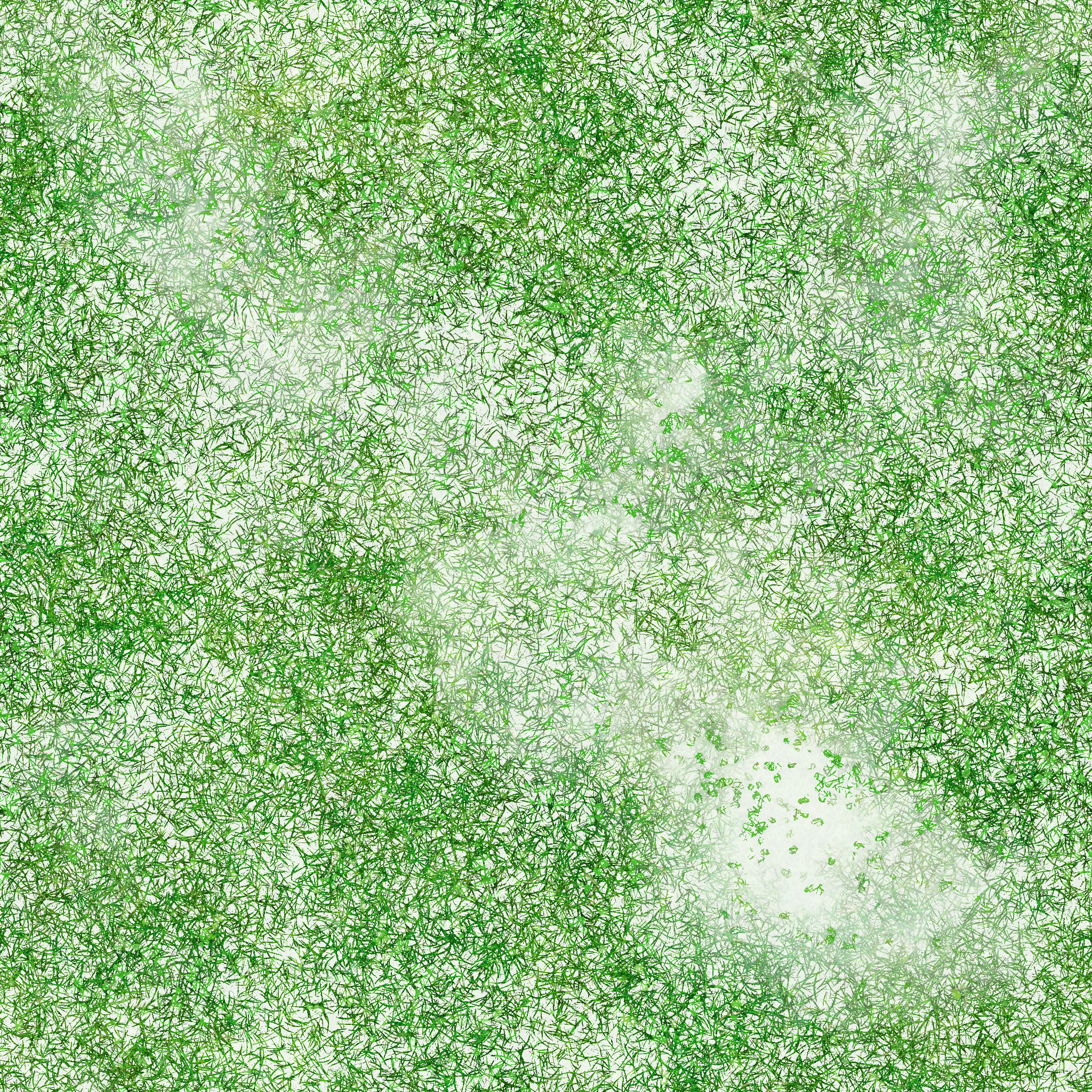 s44g001g_grass01_re.1
