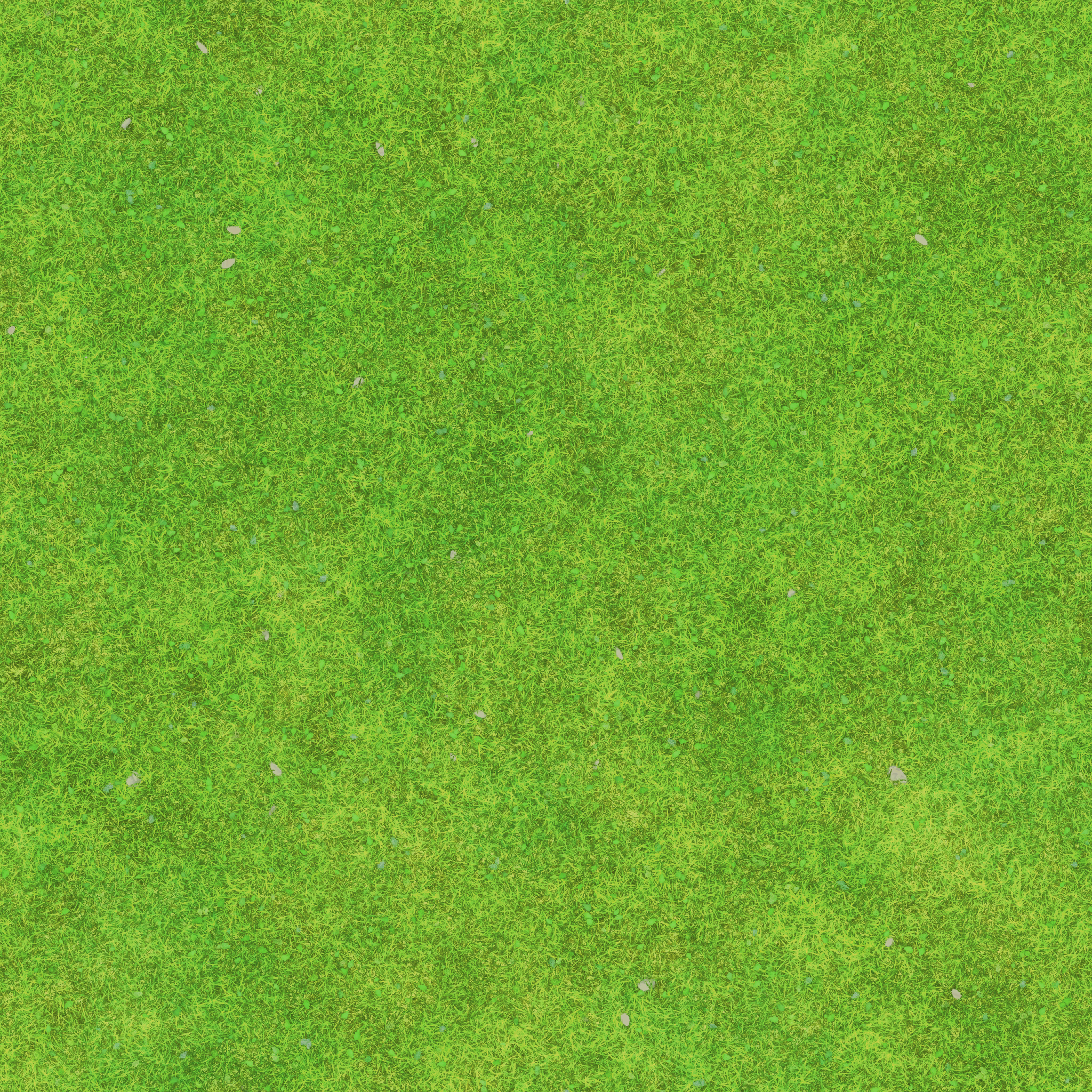 s44g001g_grass02_re.1