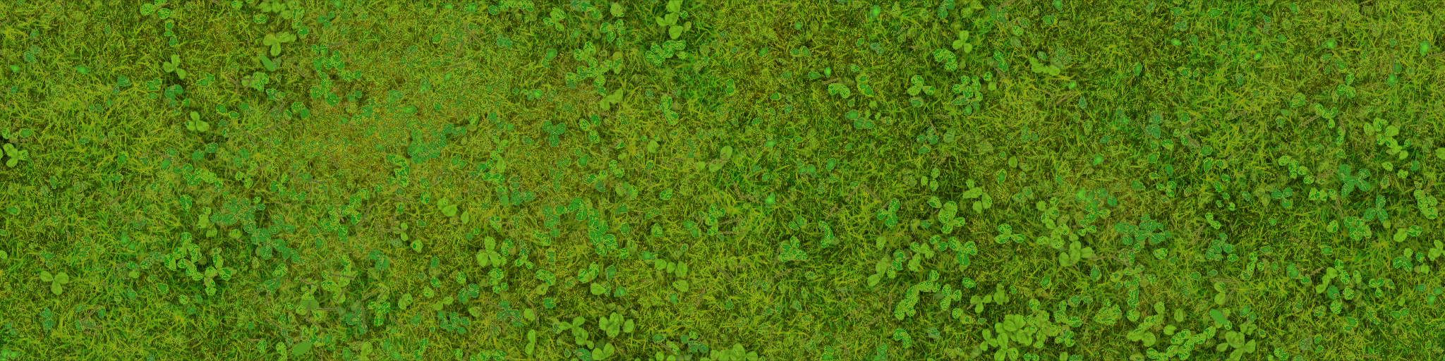 s49g001g_grass01_a.1