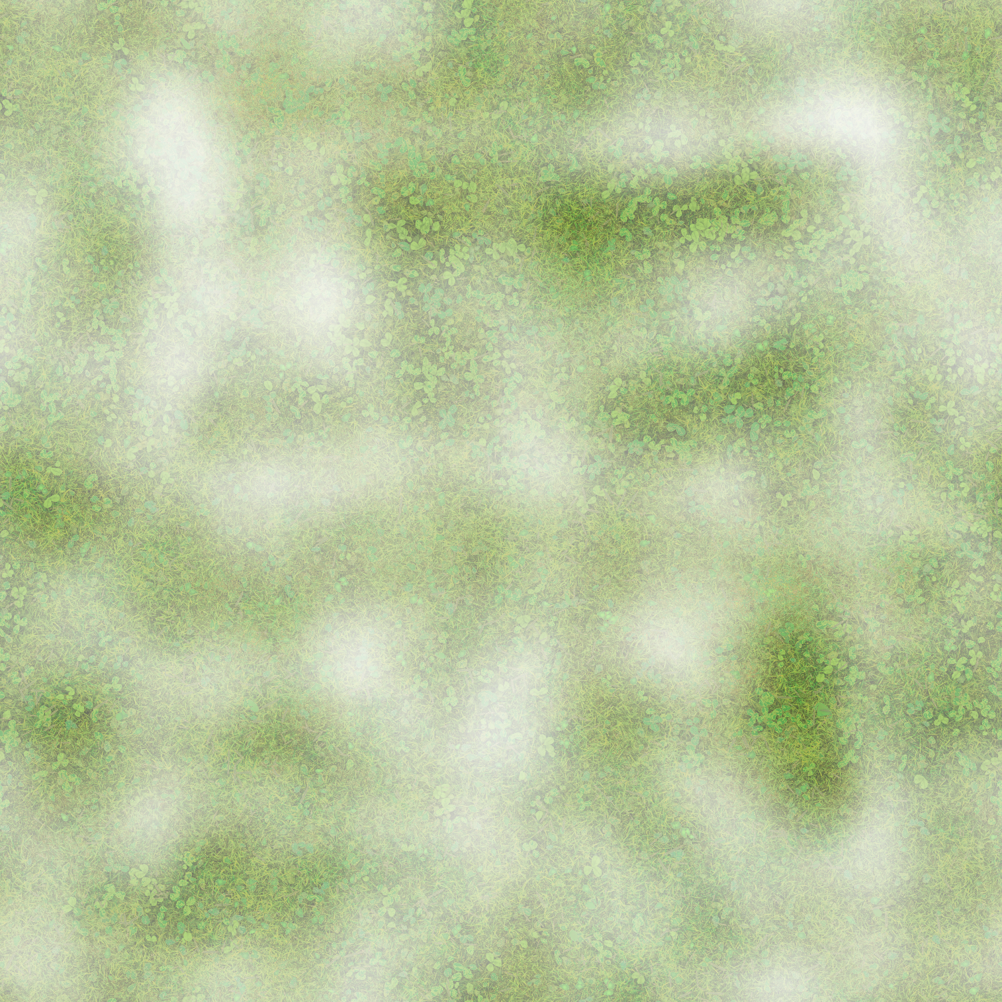 s49g001g_grassground02_re.1