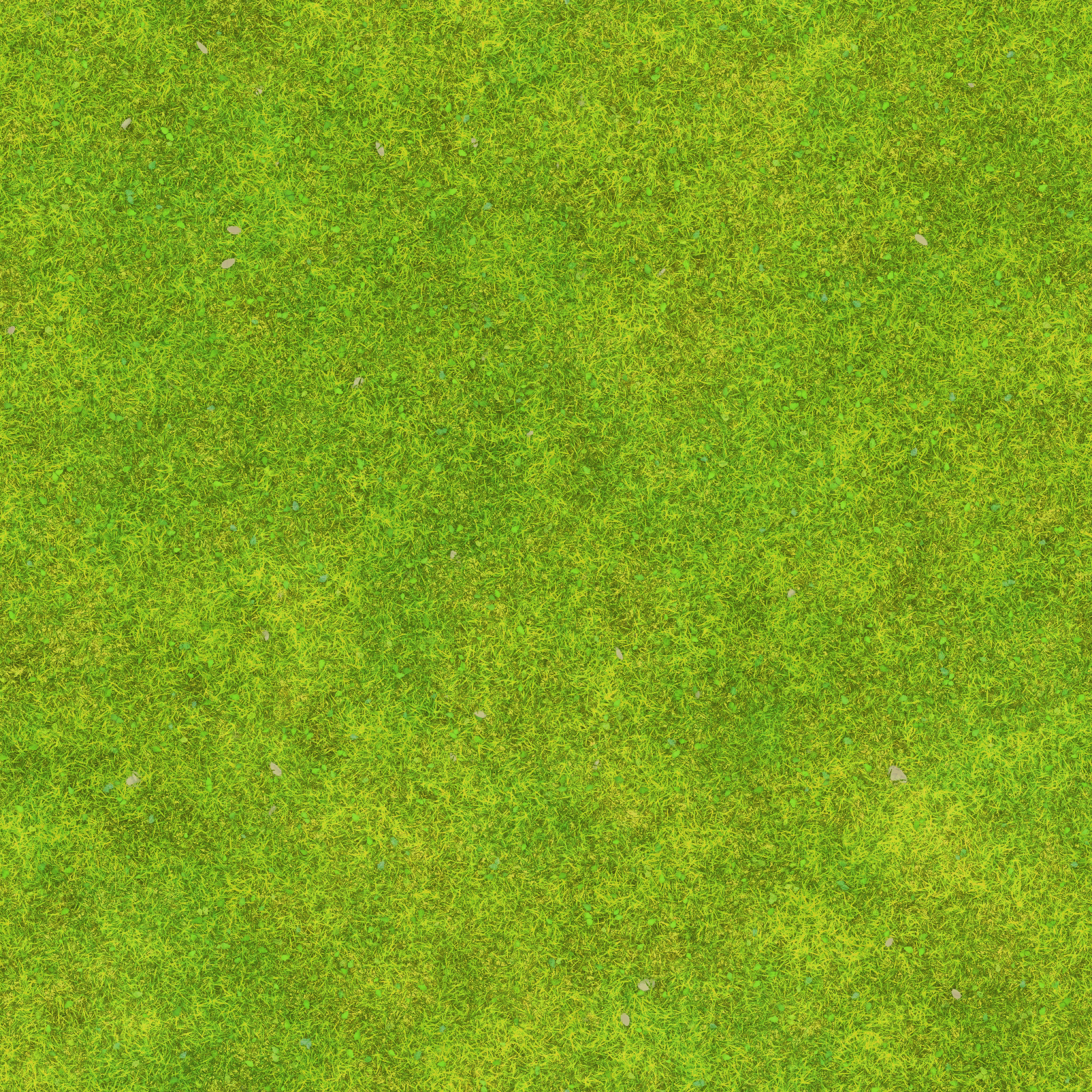s49g001g_grassground03_re.1
