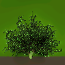 s49g001g_farbush02_a.1