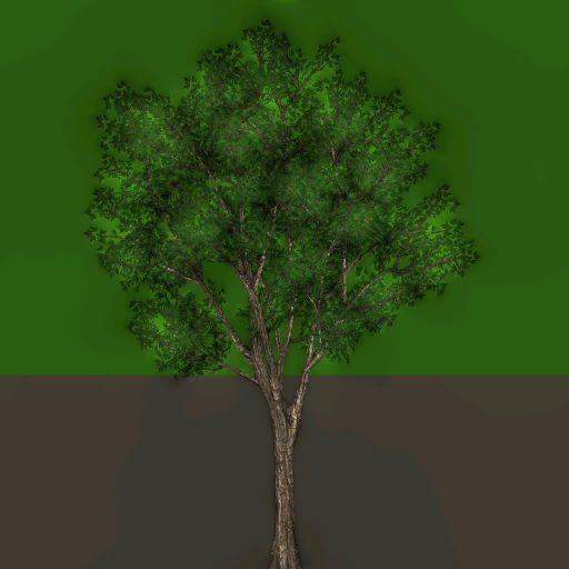s49g001g_fartree01_a.1
