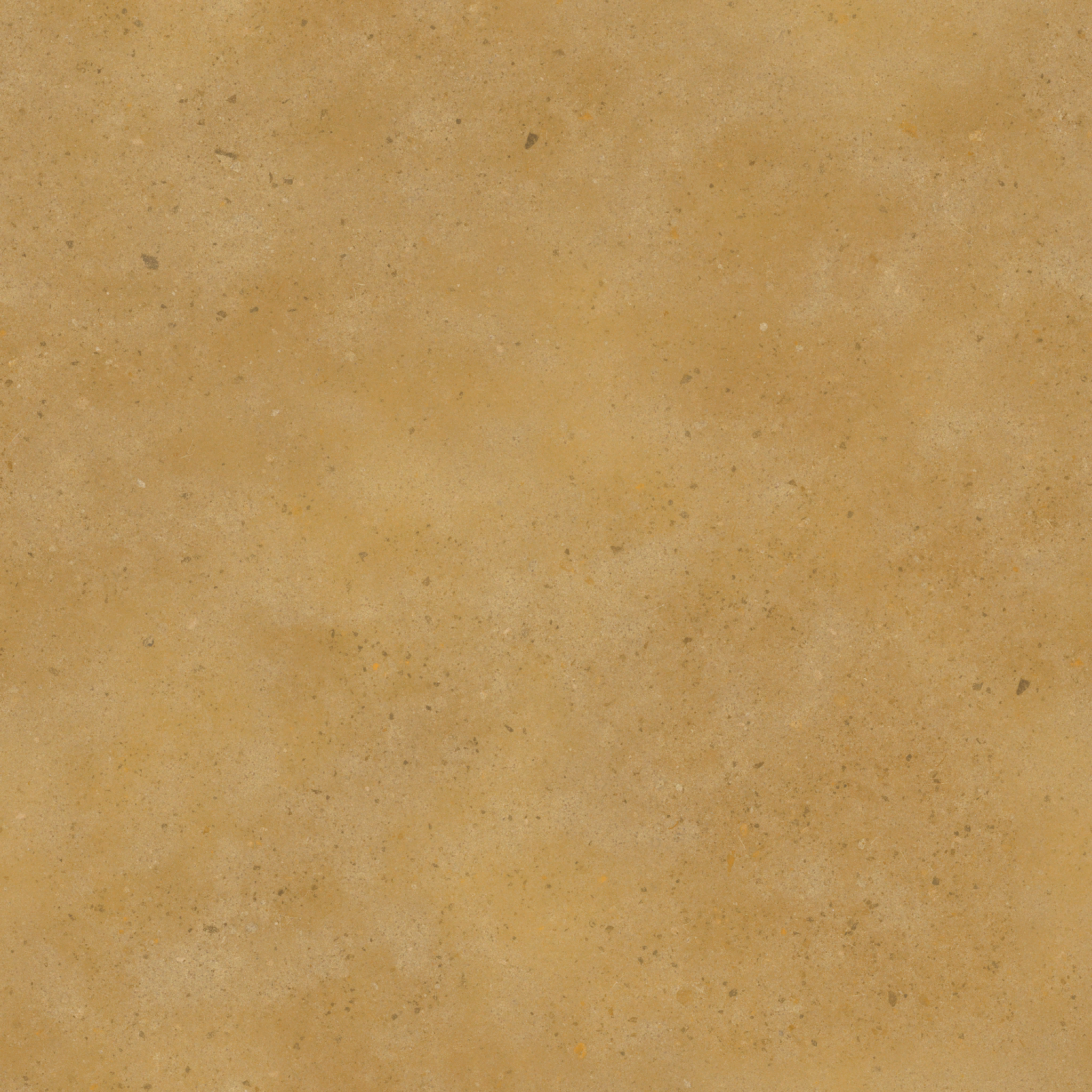 s51g001g_ground01_re.1