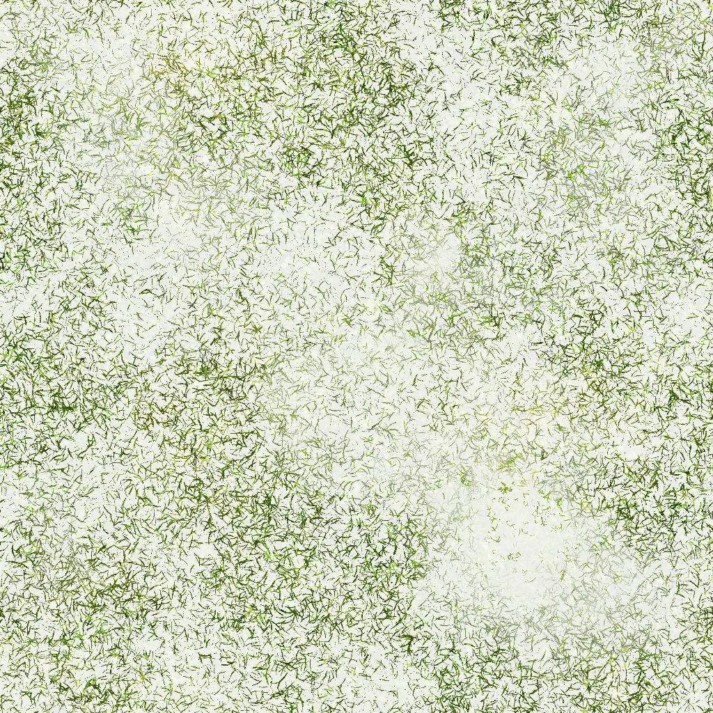 s52g001g_grass01_re.1