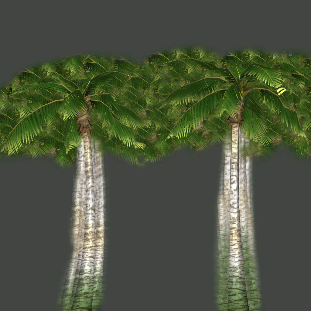 s52g001g_palm02_a.1