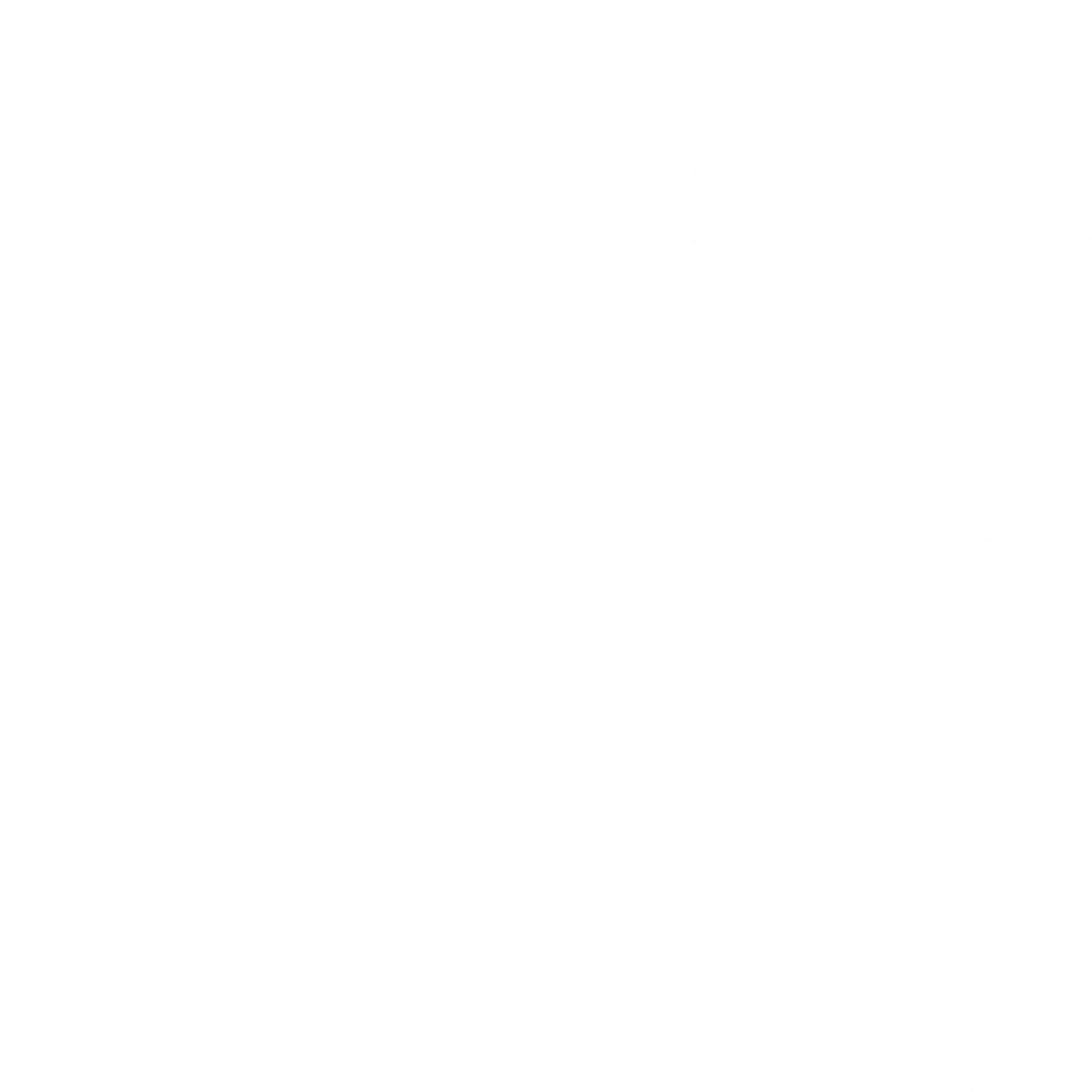 s53g001g_brick02_re.2