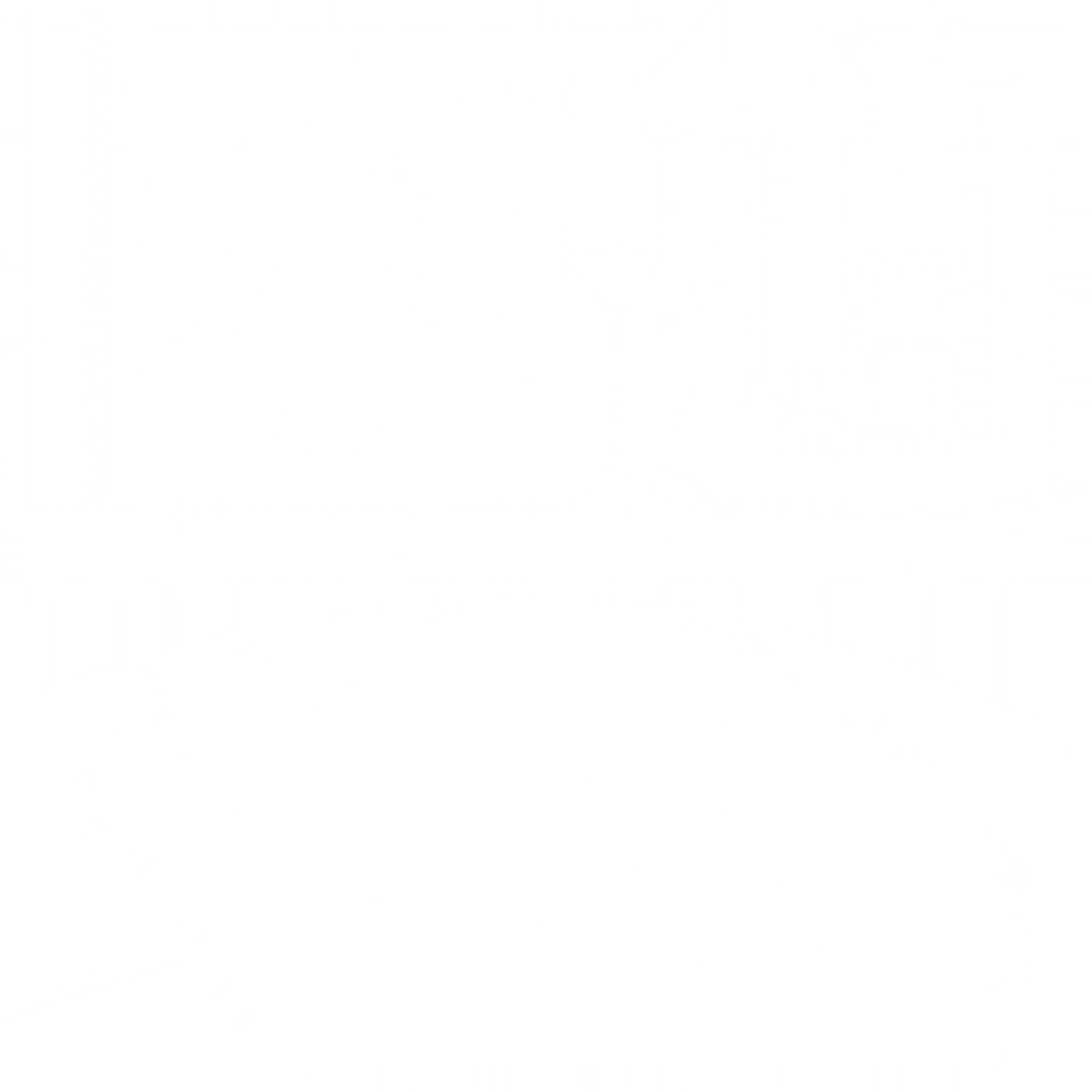 s53g001g_stone03.2