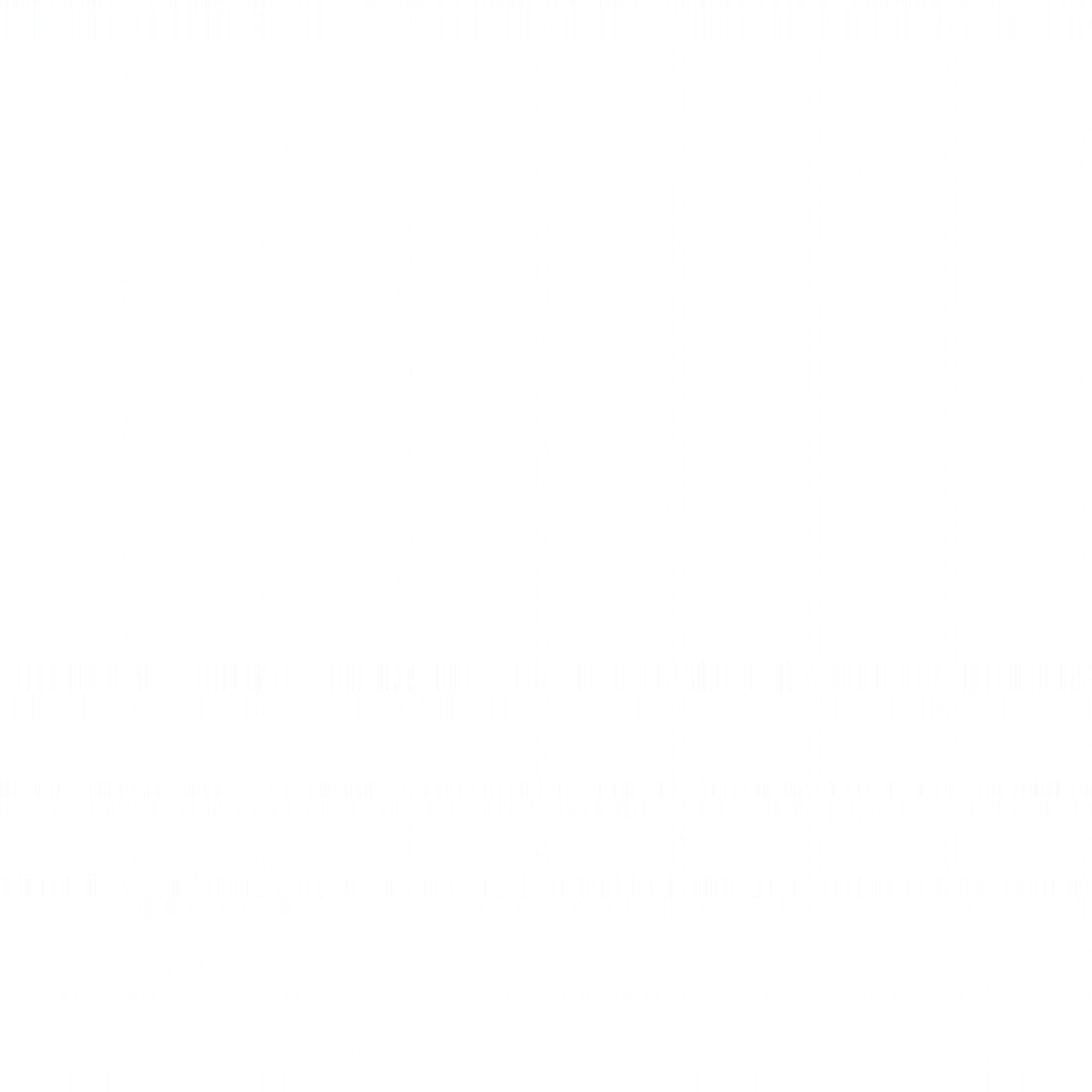 s55g001g_bridge01_re.2