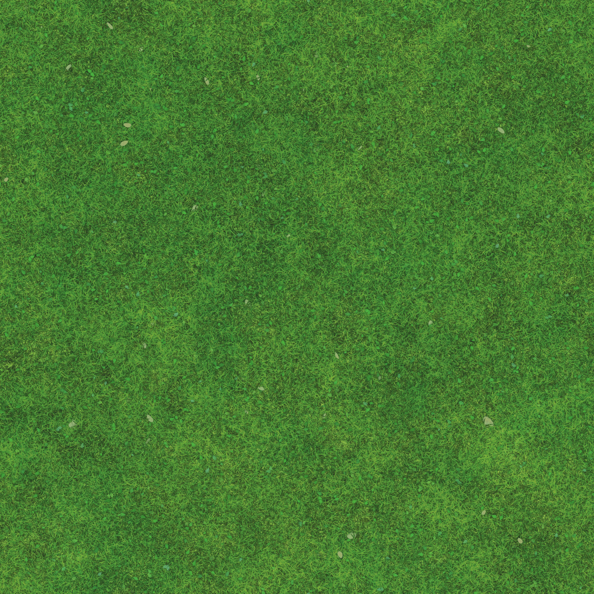 s55g001g_grass02_re.1