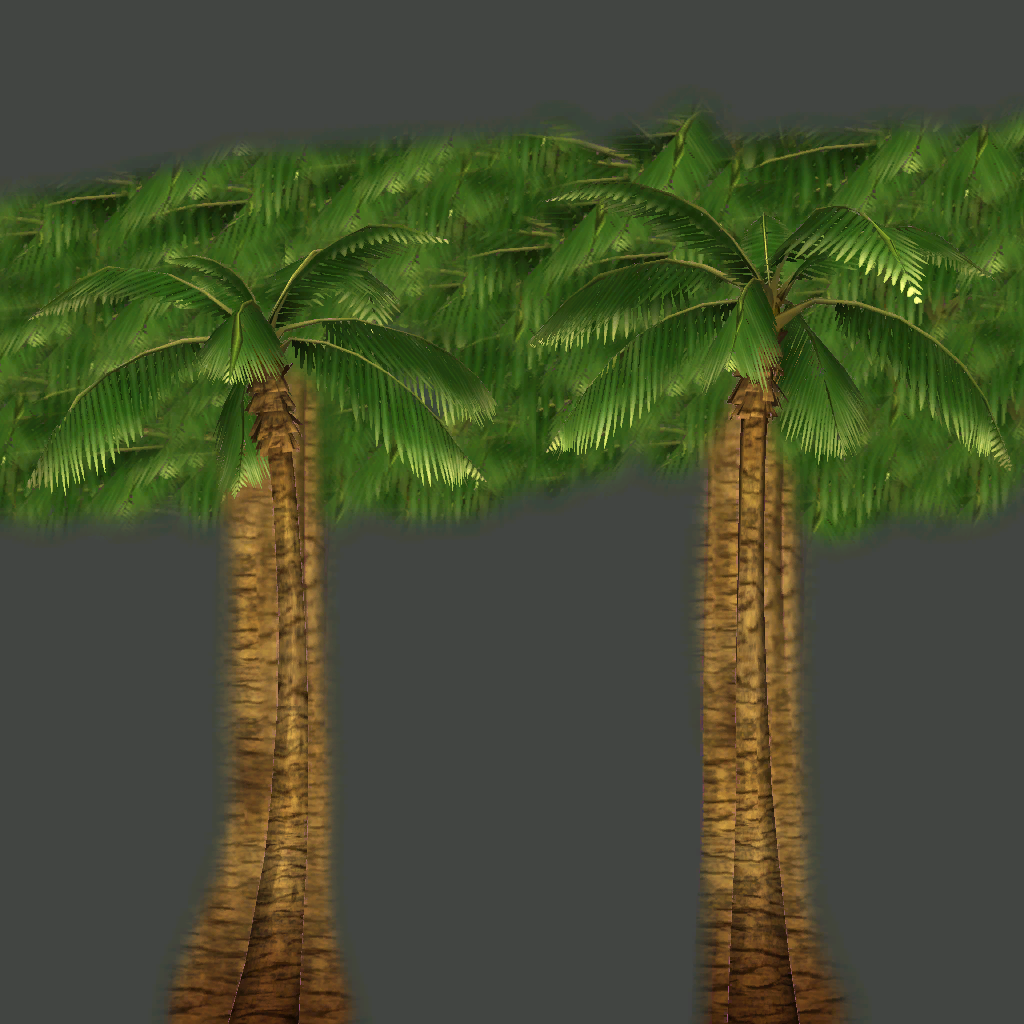 s55g001g_palm01_a.1