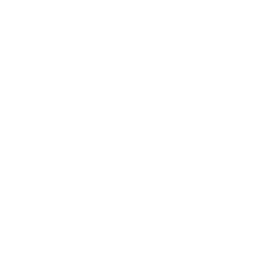 s55g001g01_vapor