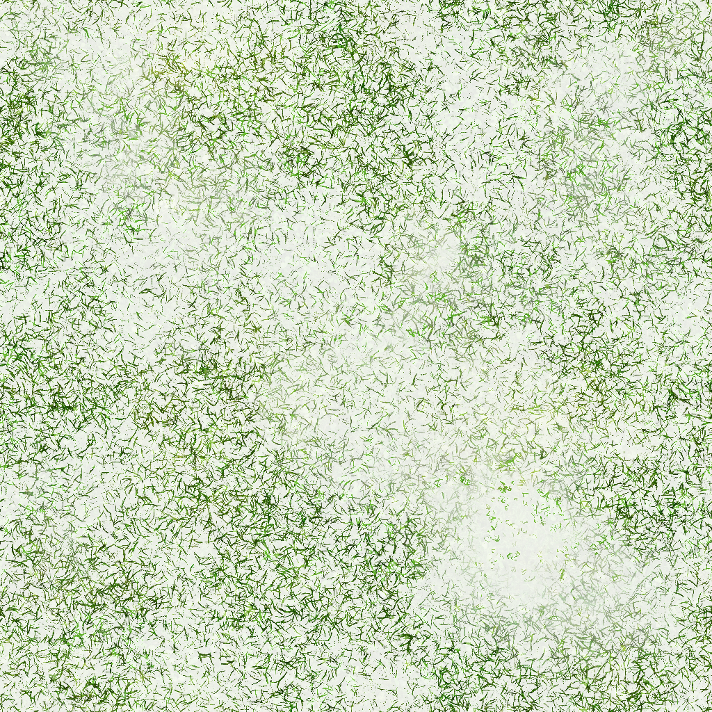 s57g001g_grass01_re.1