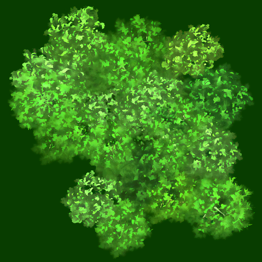 s58g001g_forest02_a.1