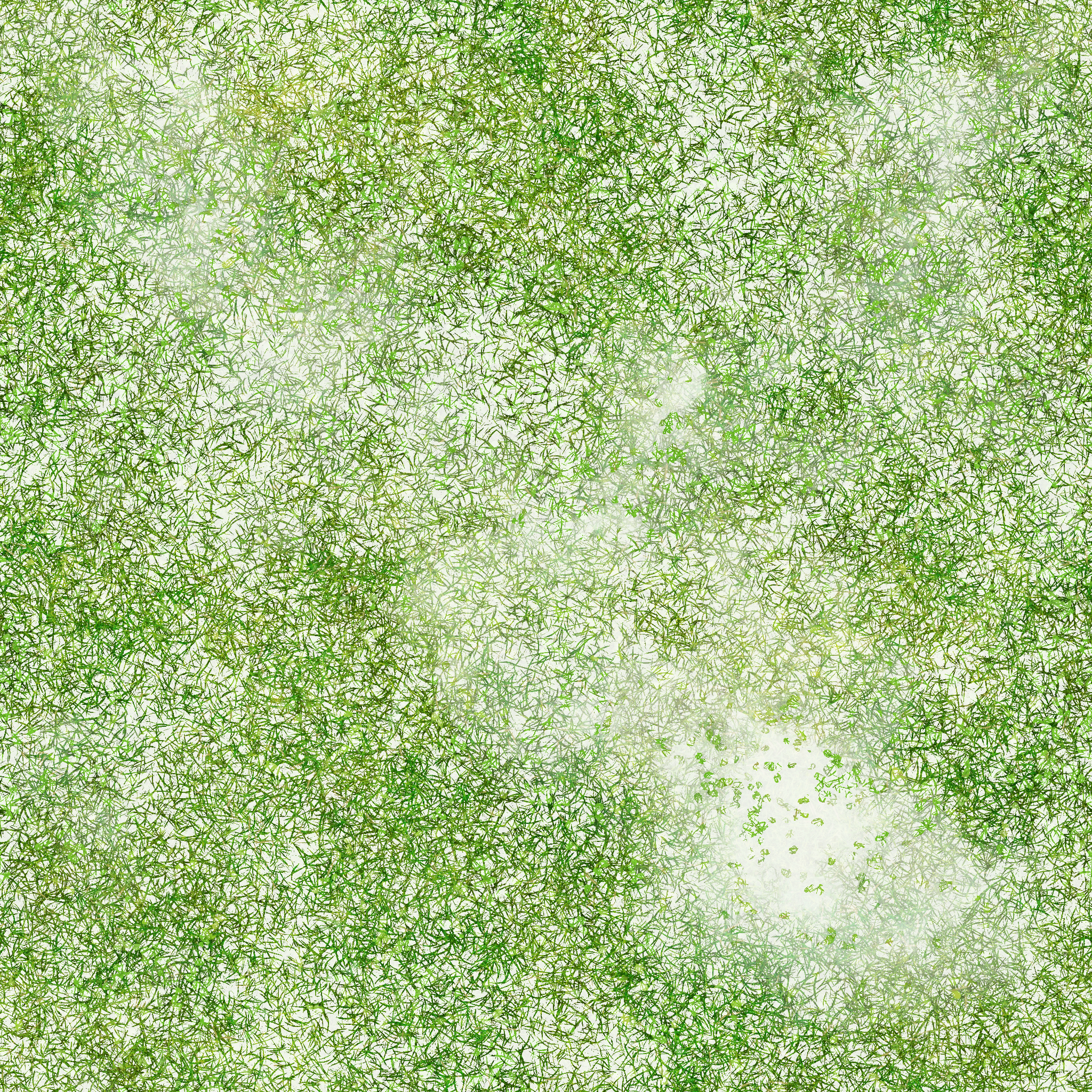 s59g001g_grass01_re.1