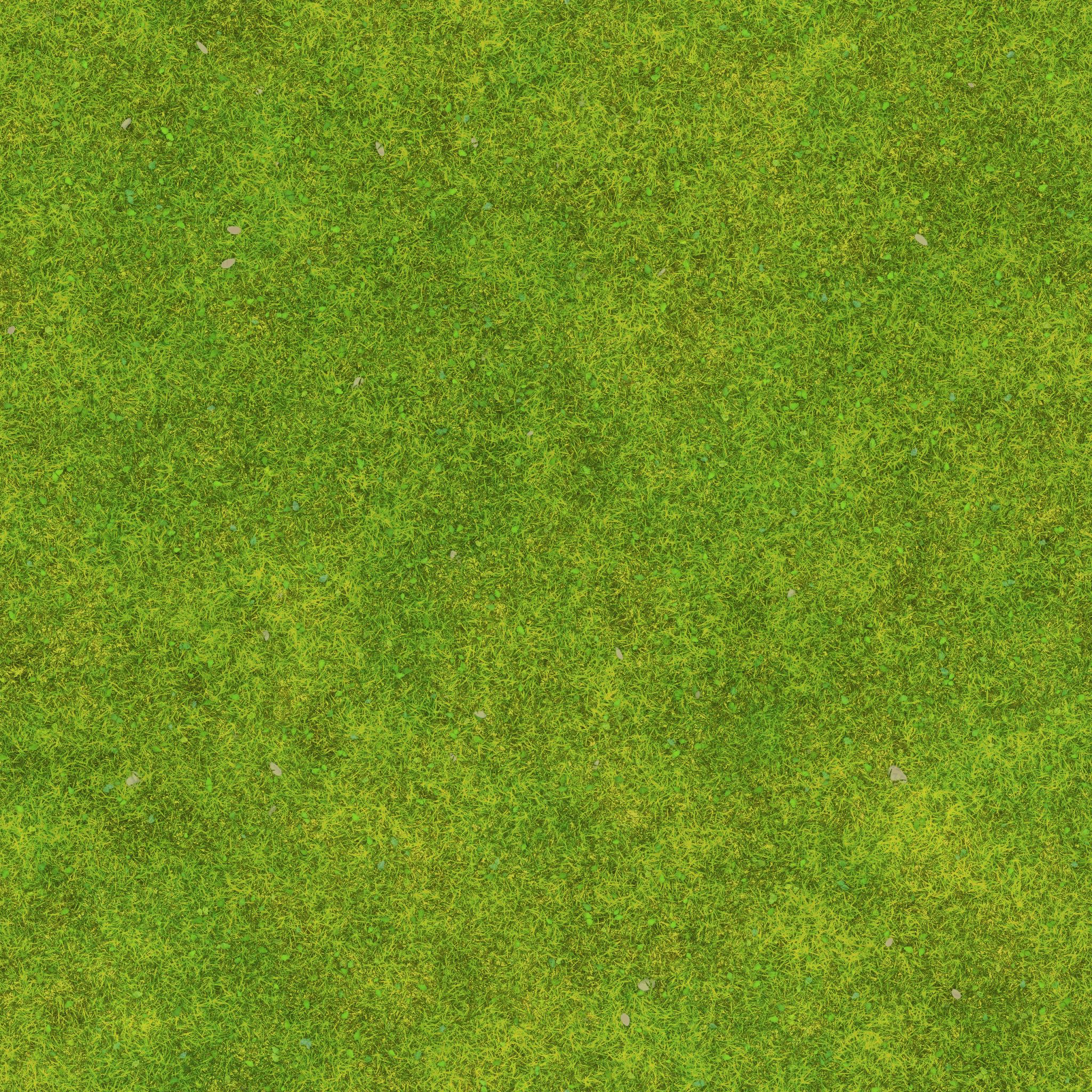 s59g001g_grass03_re.1