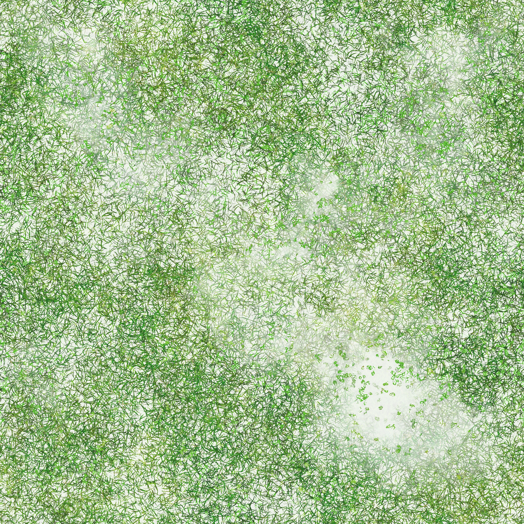 s62g001g_grass01_re.1