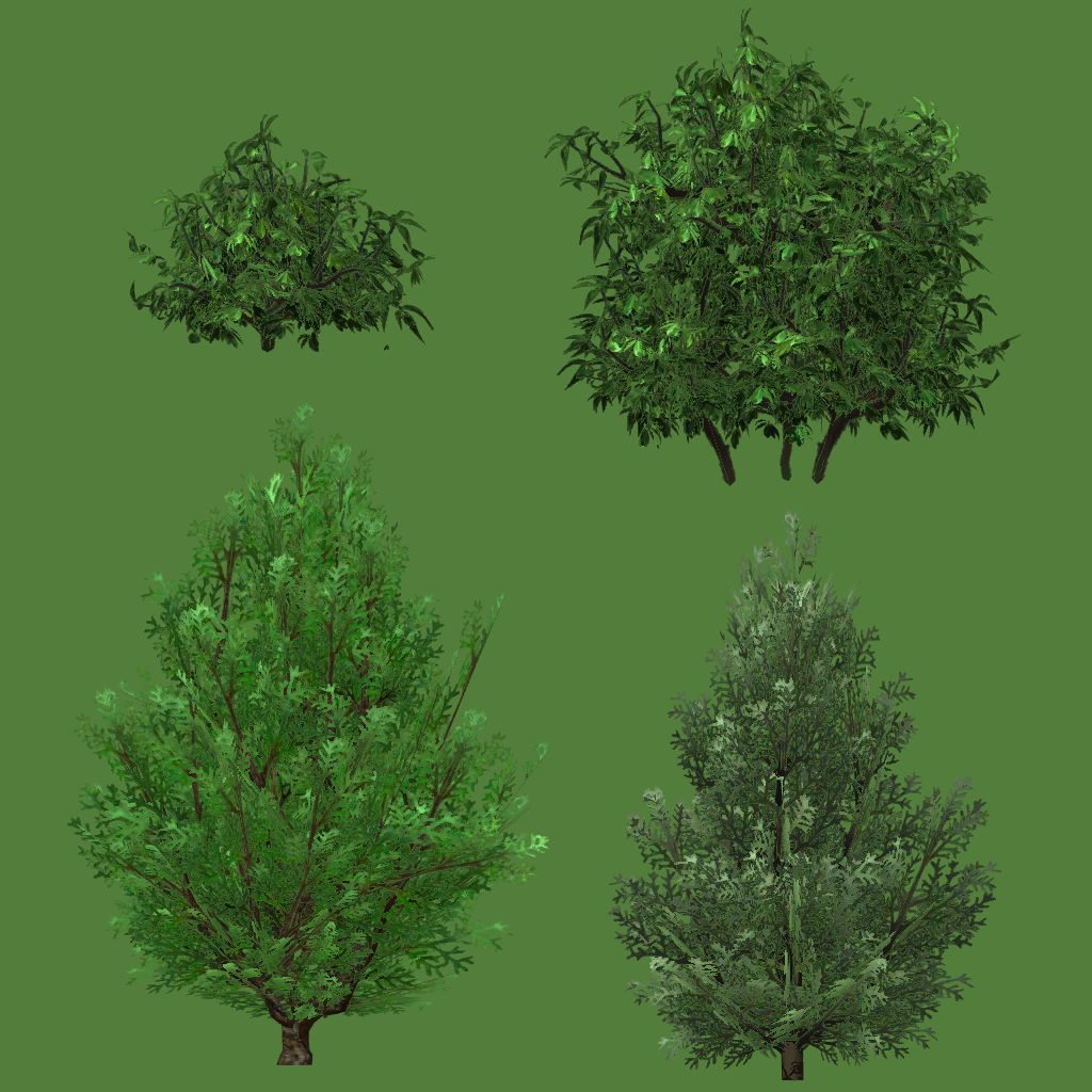 s63g001p_tree01_a.1