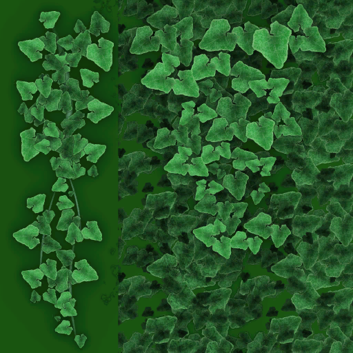 s67ao001_ivy01.1