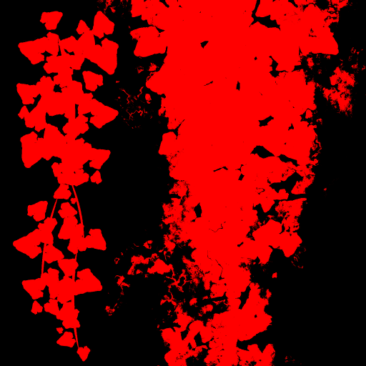 s67ao001_ivy01.a