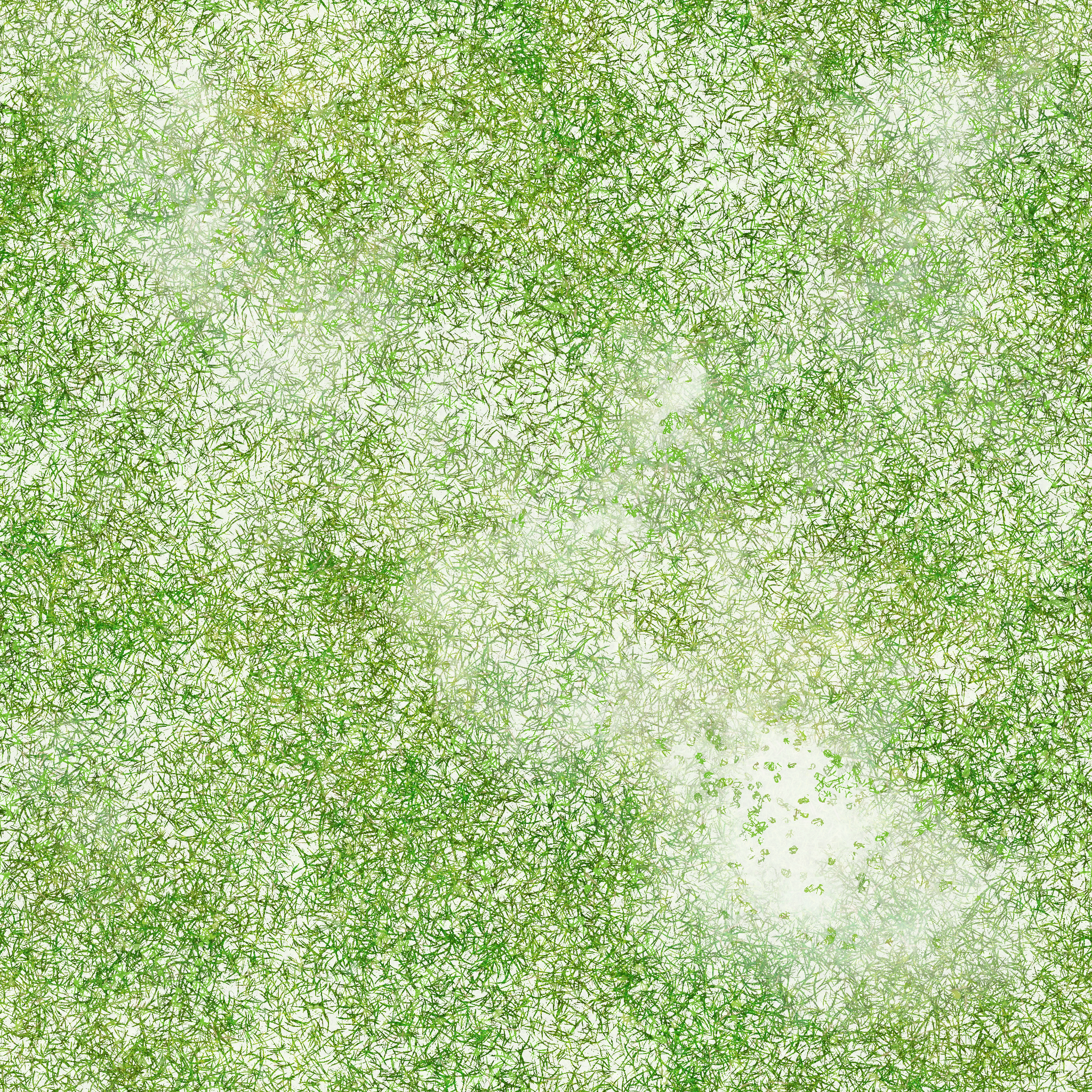 s67g001g_grass01_re.1