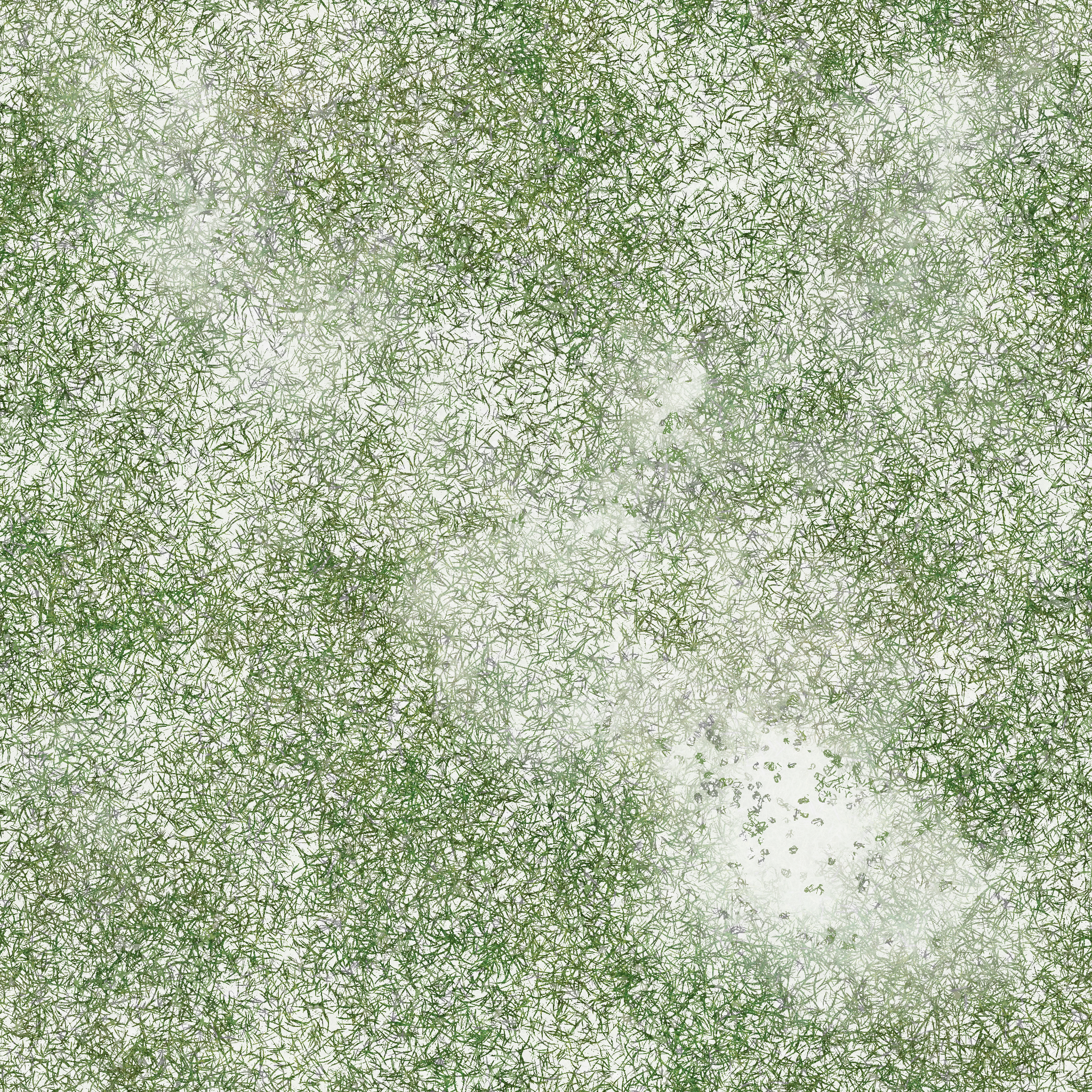 s67g001g_grass02_re.1